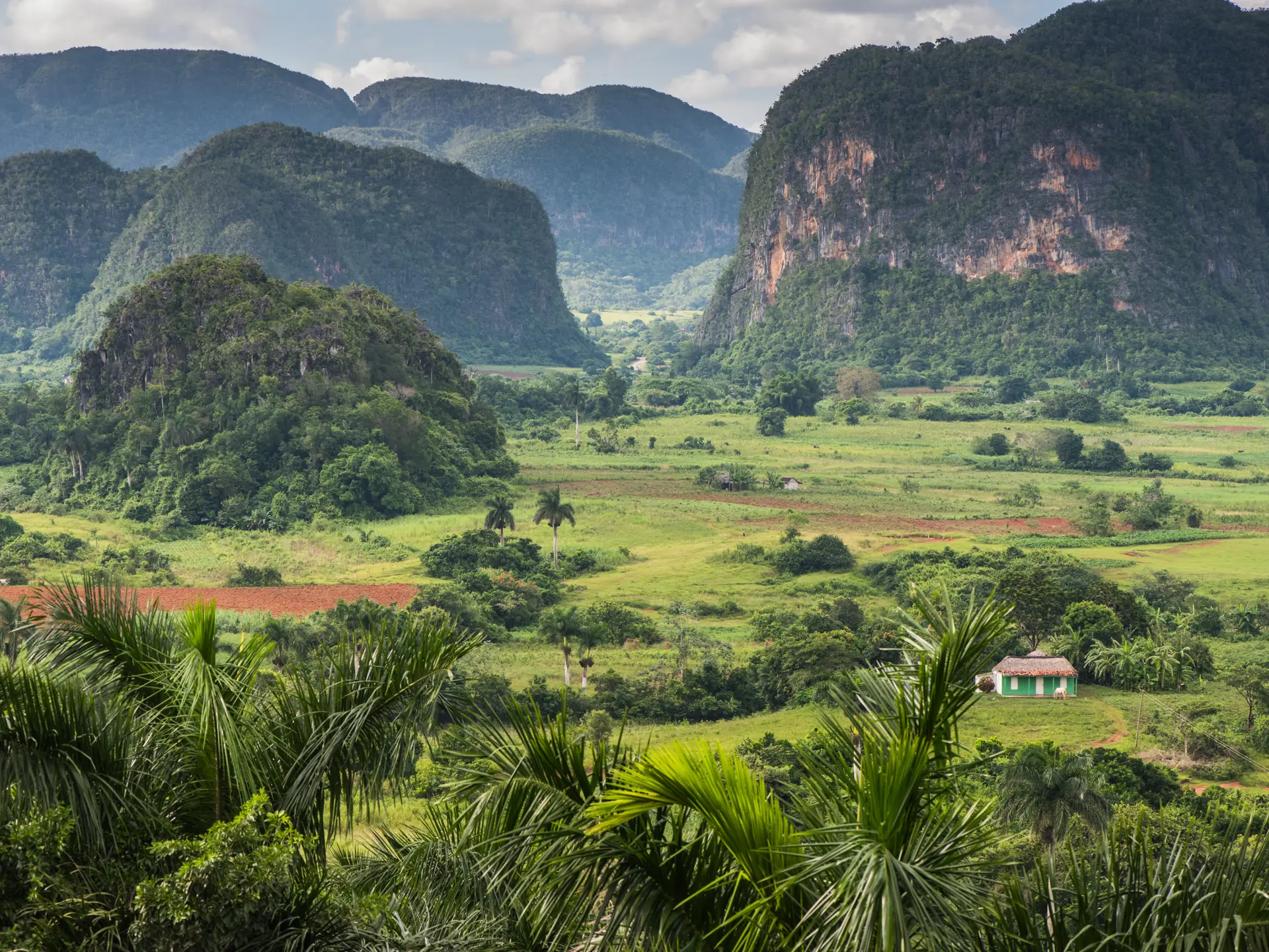shutterstock_323530409 Panoramic view over landscape with mogotes in Vinales Valley ,Cuba.jpg