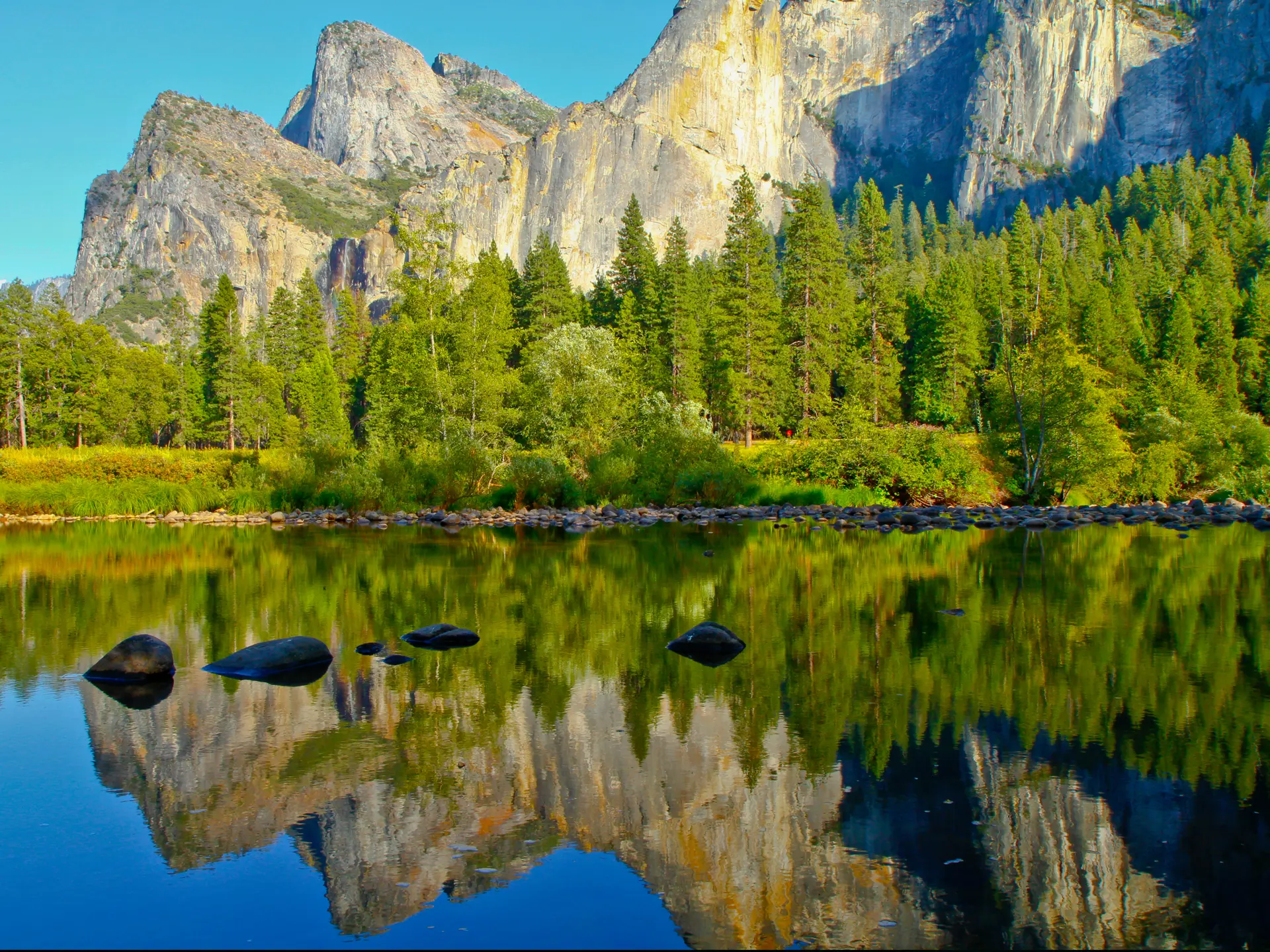 Yosemite National Park Landscape 64036819