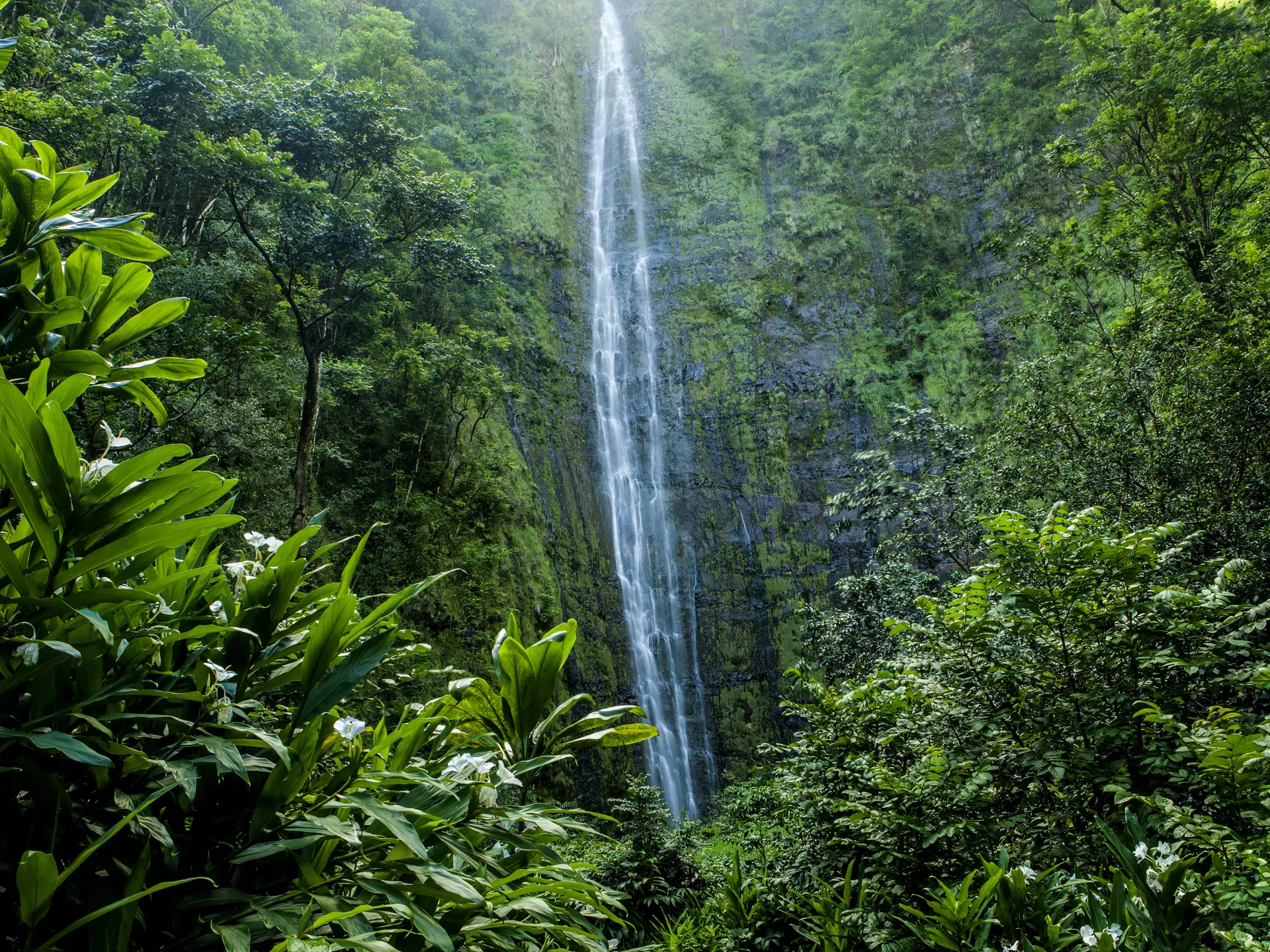 The Waimoku Falls in Haleakala National park in Maui.jpg