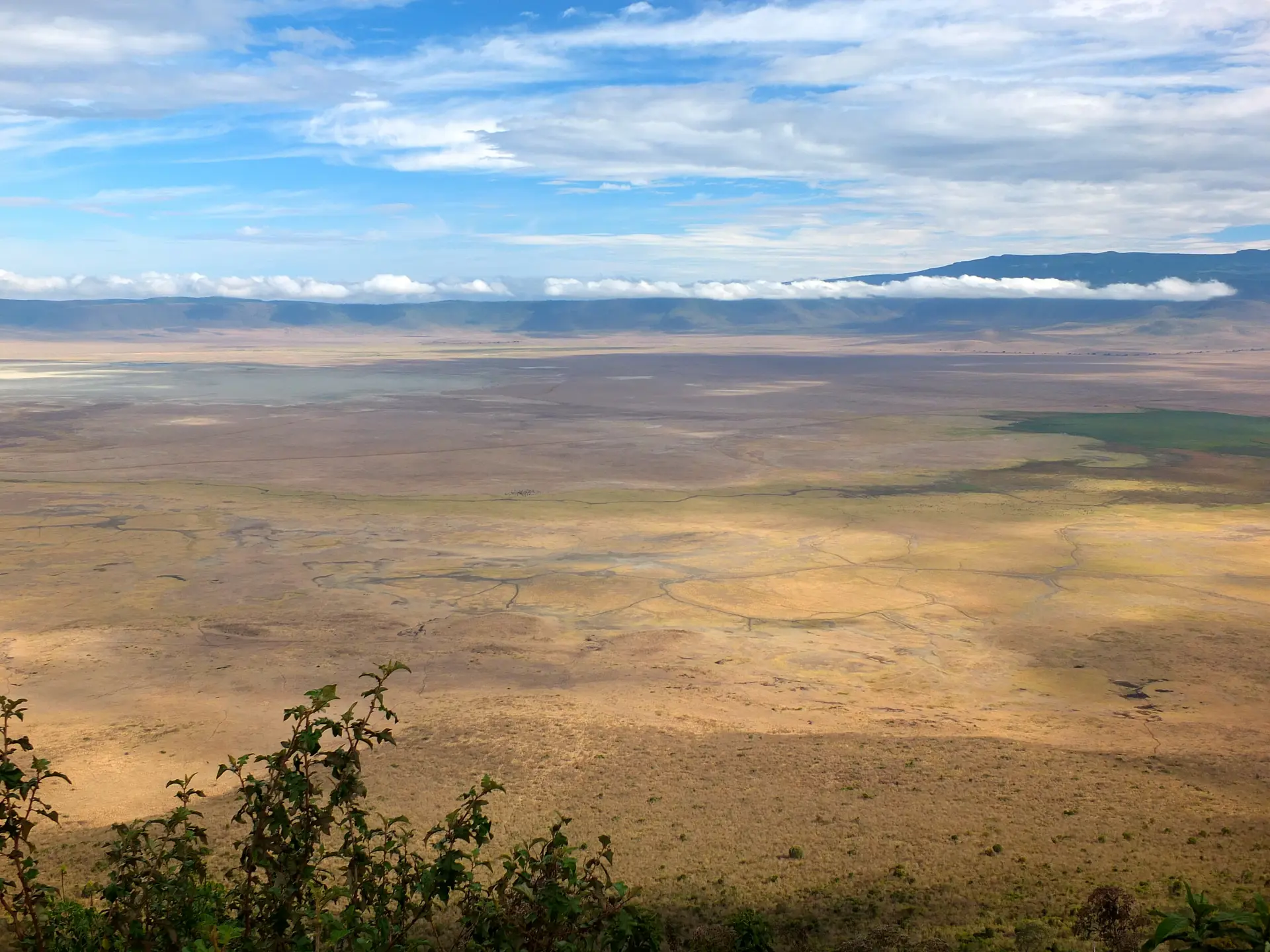 Dyr Ngorongoro3
