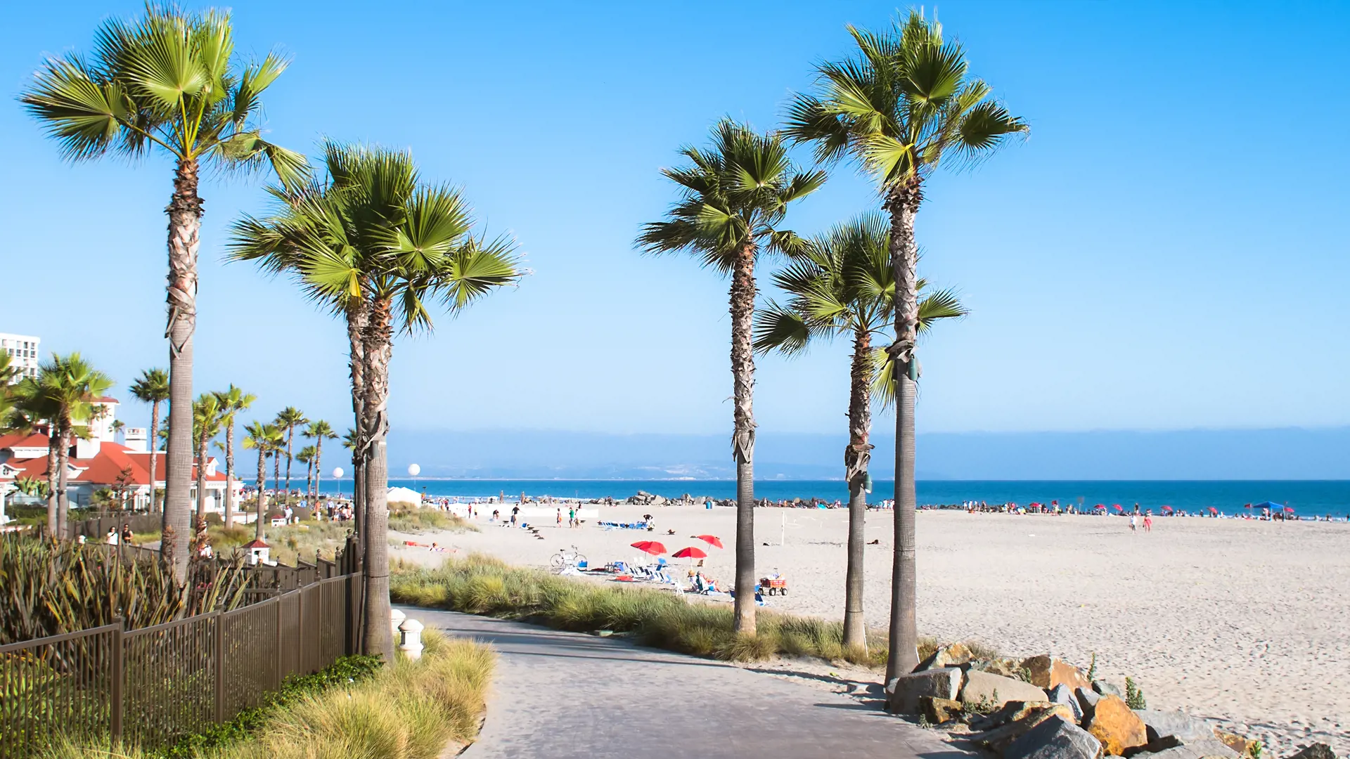 shutterstock_145985252 Beach and Palm Trees in San Diego, Southern California Coast, USA.jpg
