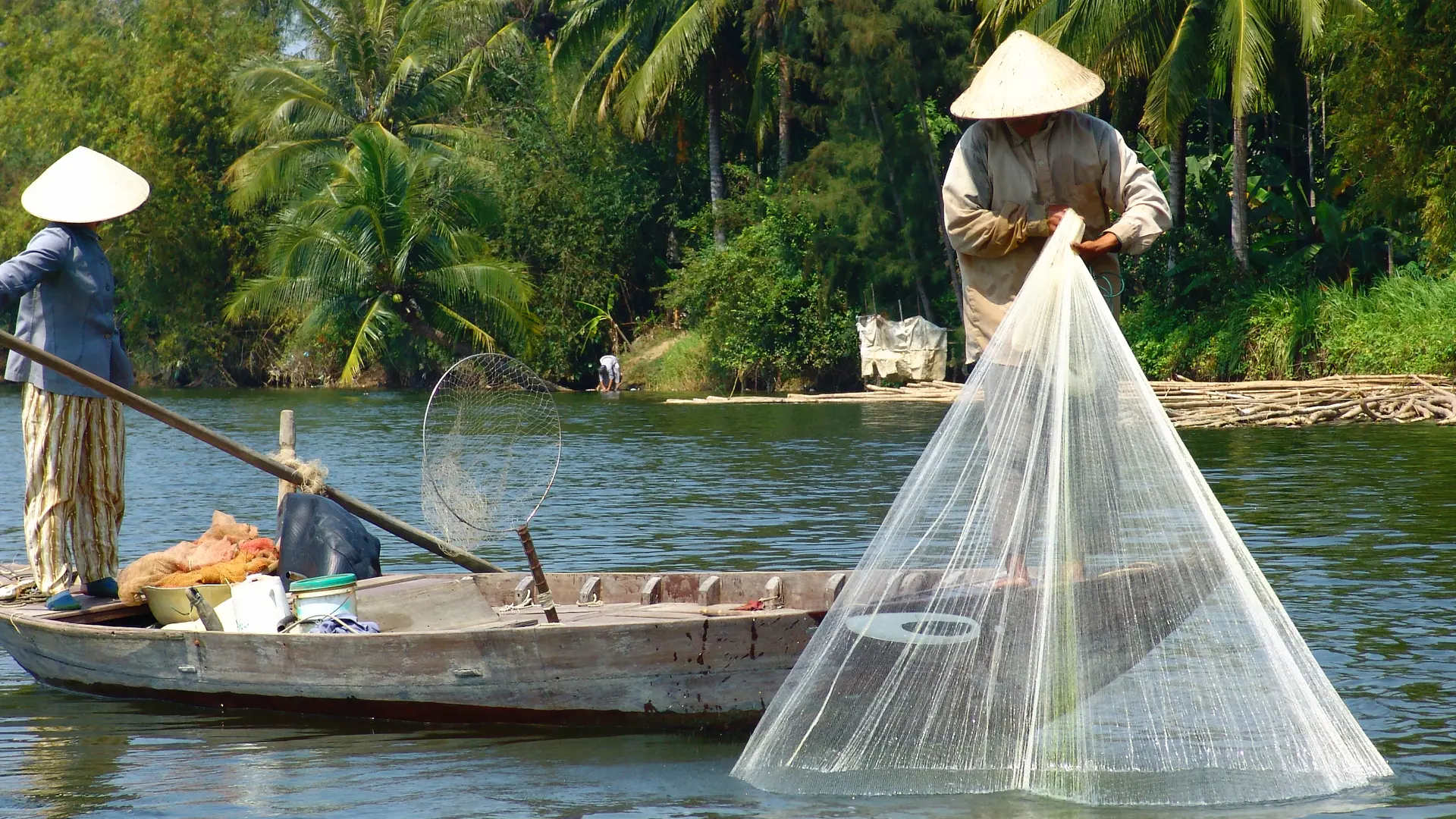 HOI AN - Fiskere trækker net ind på floden i Hoi An, Check Point Travel