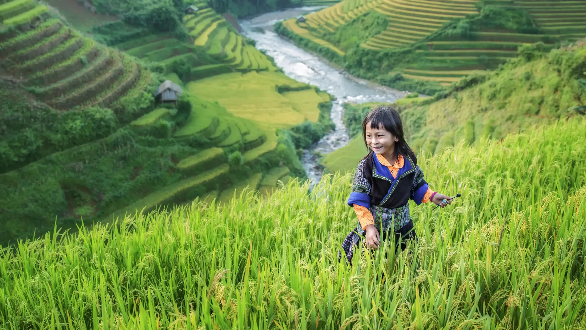 shutterstock_319942607 Girl in the terrace rice farm with countryside background.jpg