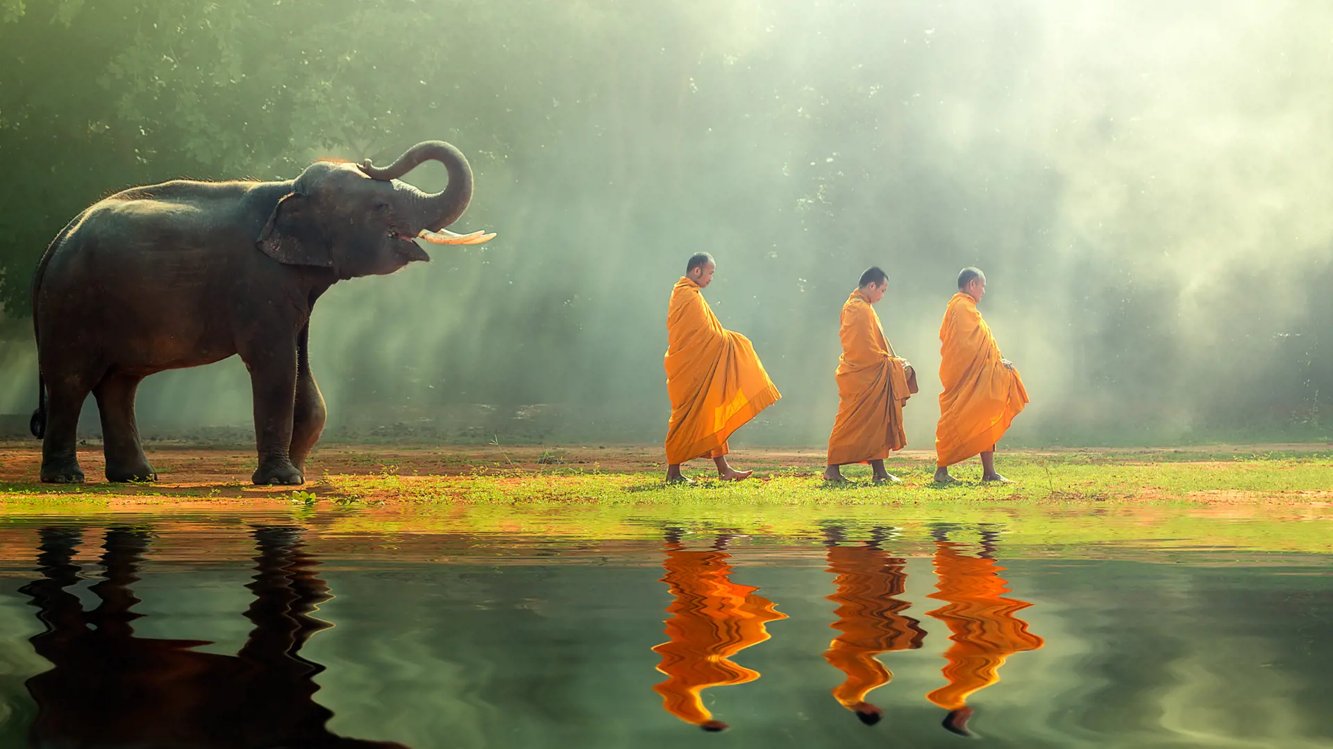 Rejser til Thailand - Elefant sammen med munke 