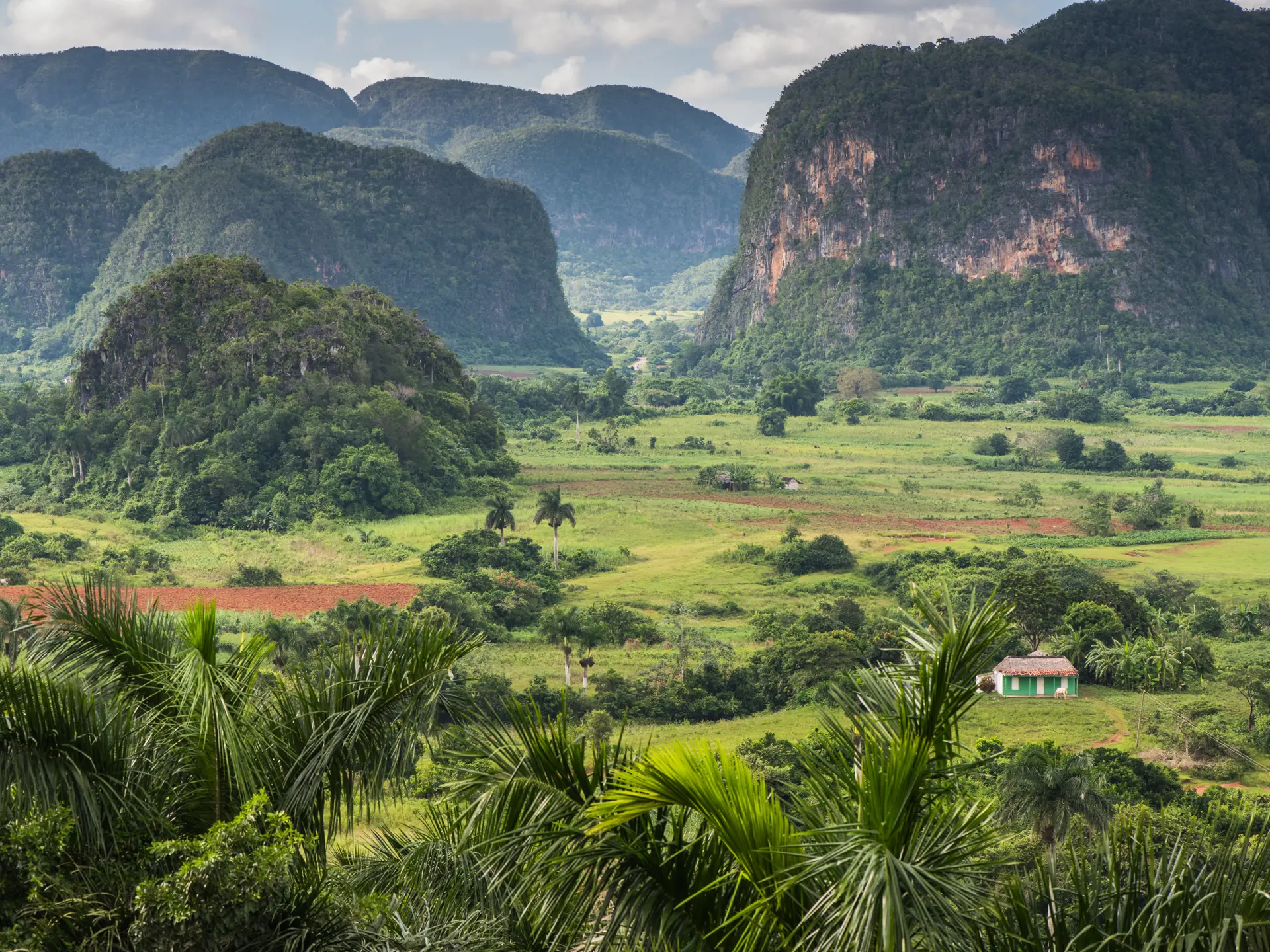 shutterstock_323530409 Panoramic view over landscape with mogotes in Vinales Valley ,Cuba.jpg