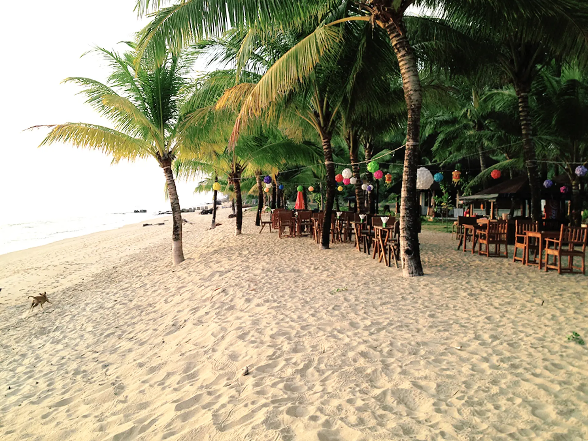 KOH KHO KHAO - Mærk den hyggelige stemning under palmerne på stranden. 
