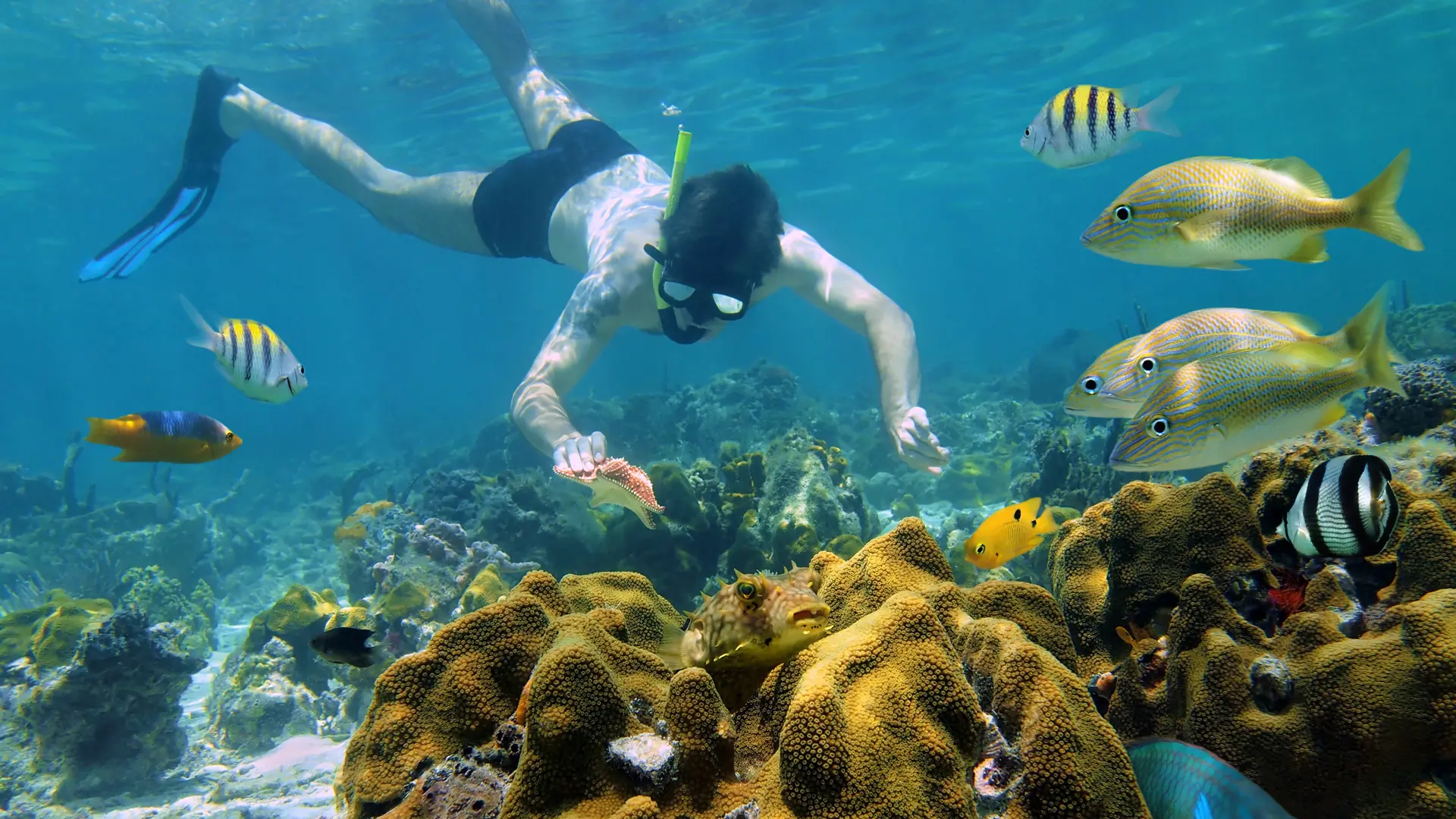 ISLA MUJERES - Fra Isla Mujeres kan I tage på snorkelture og dykke ned i en verden af farvestråålende fisk og koraller. 