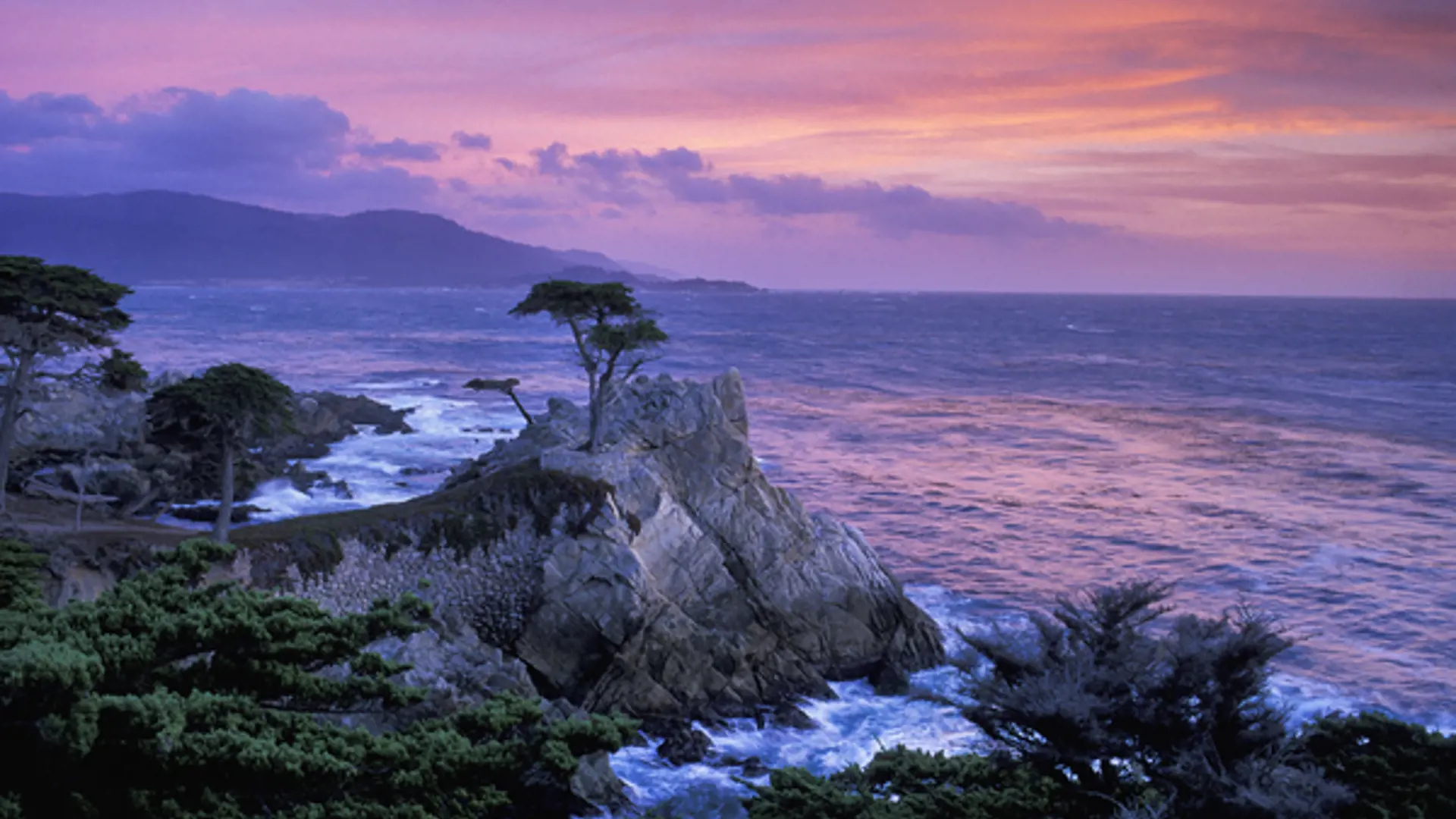 USA - Californien - 17 mile drive - Monterey - Visit California (14).jpg