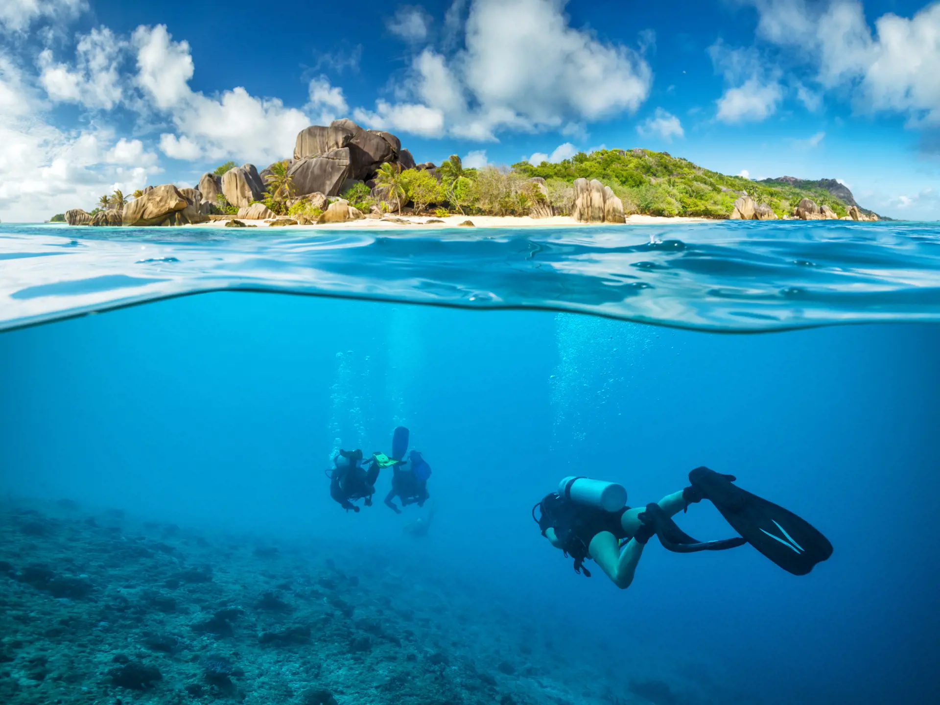 DYKNING - Seychellerne er et sandt paradis for dykkere. I det klare vand kan I se et væld af farvestrålende fisk.