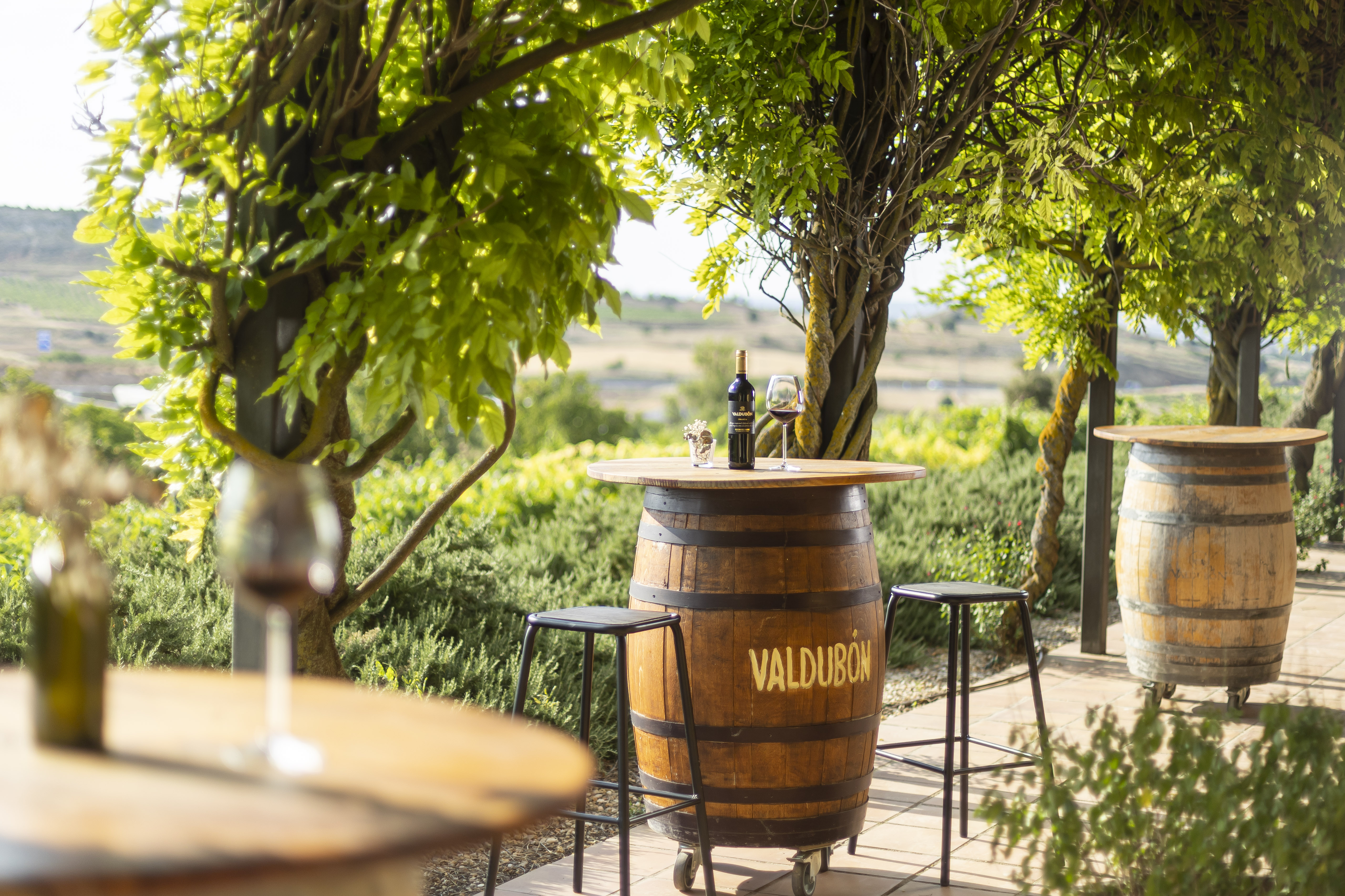 Bodegas Valdubón