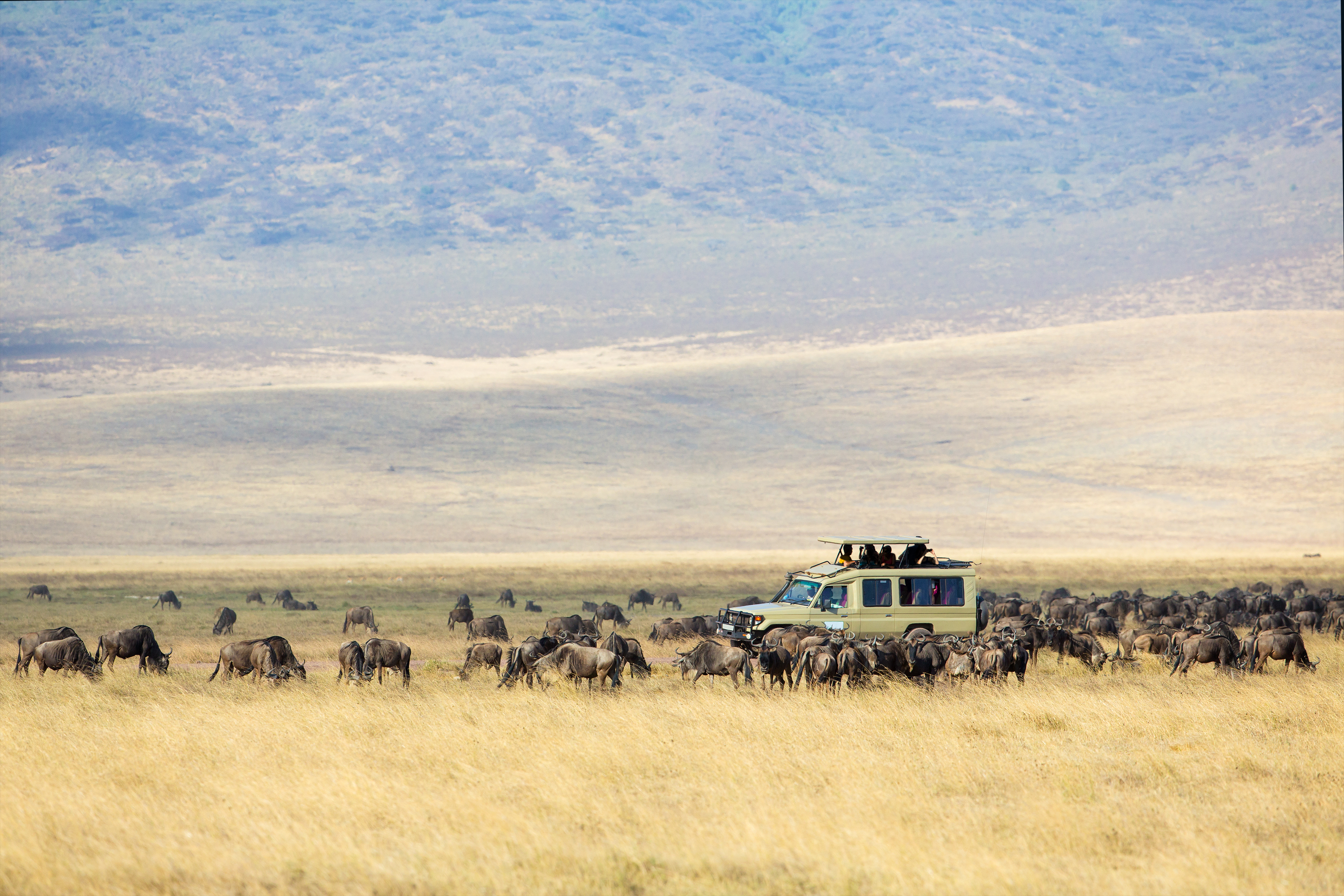 shutterstock_221877979 Safari tourists on game drive in Ngorongoro.jpg