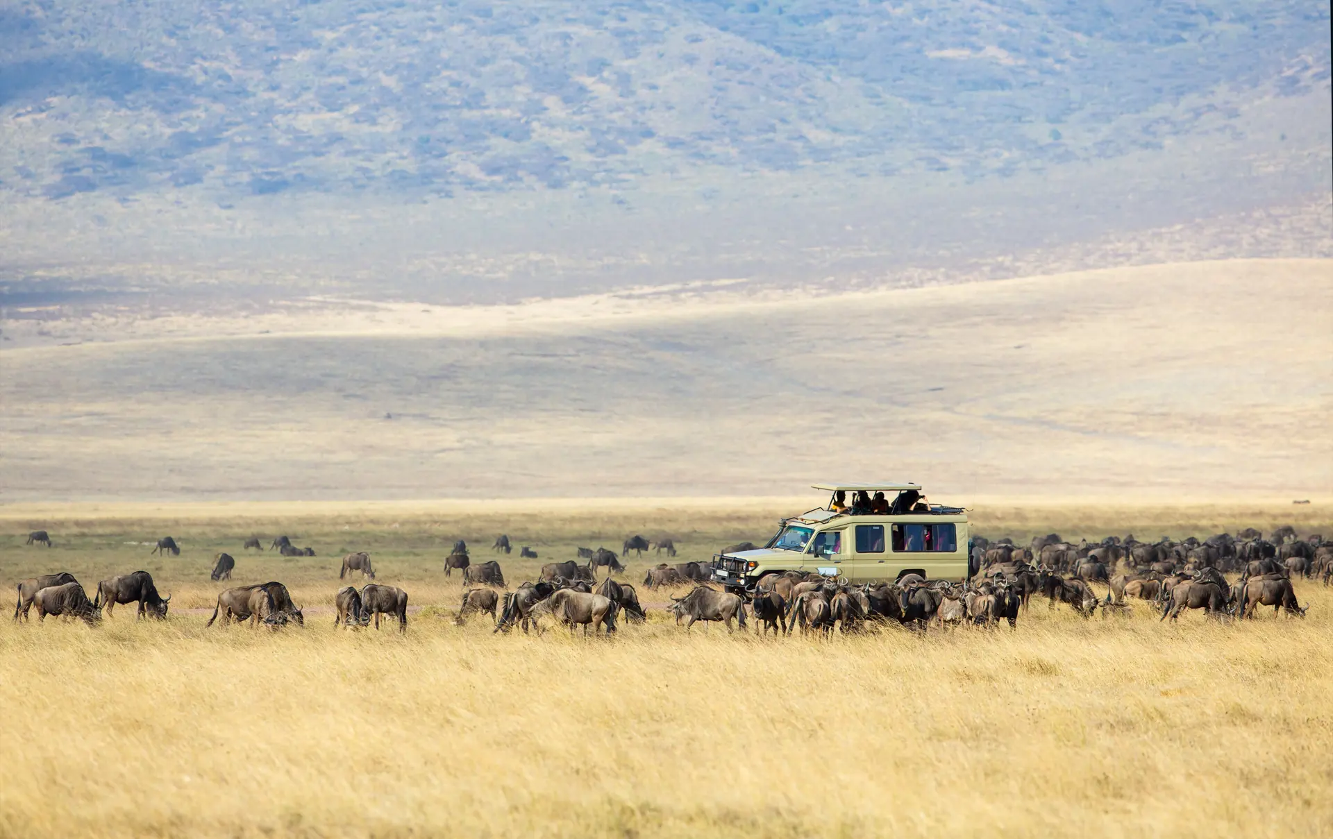 shutterstock_221877979 Safari tourists on game drive in Ngorongoro.jpg