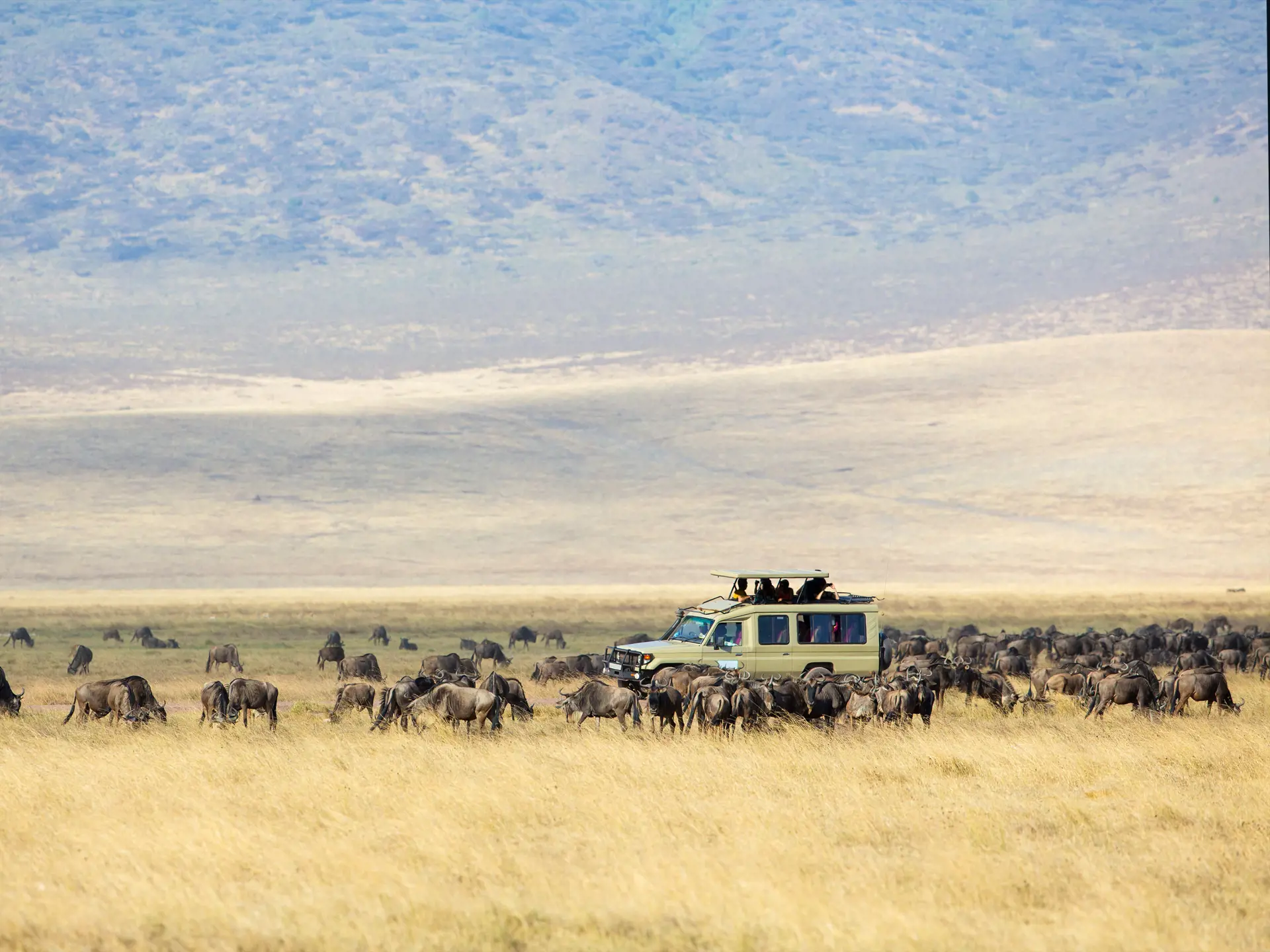 shutterstock_221877979 Safari tourists on game drive in Ngorongoro.jpg