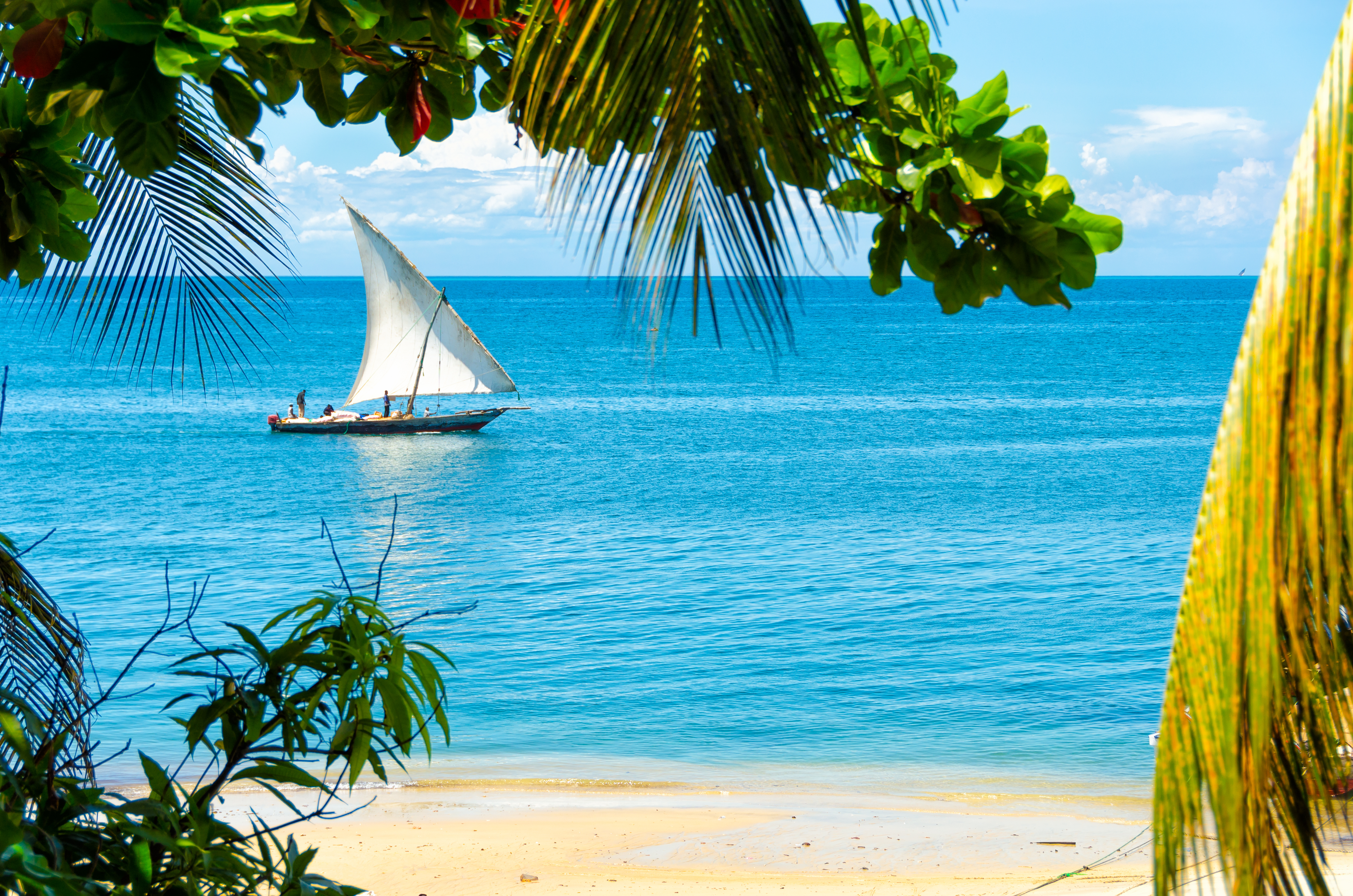 shutterstock_521768668 Sailing boat passing an empty sandy beach.jpg