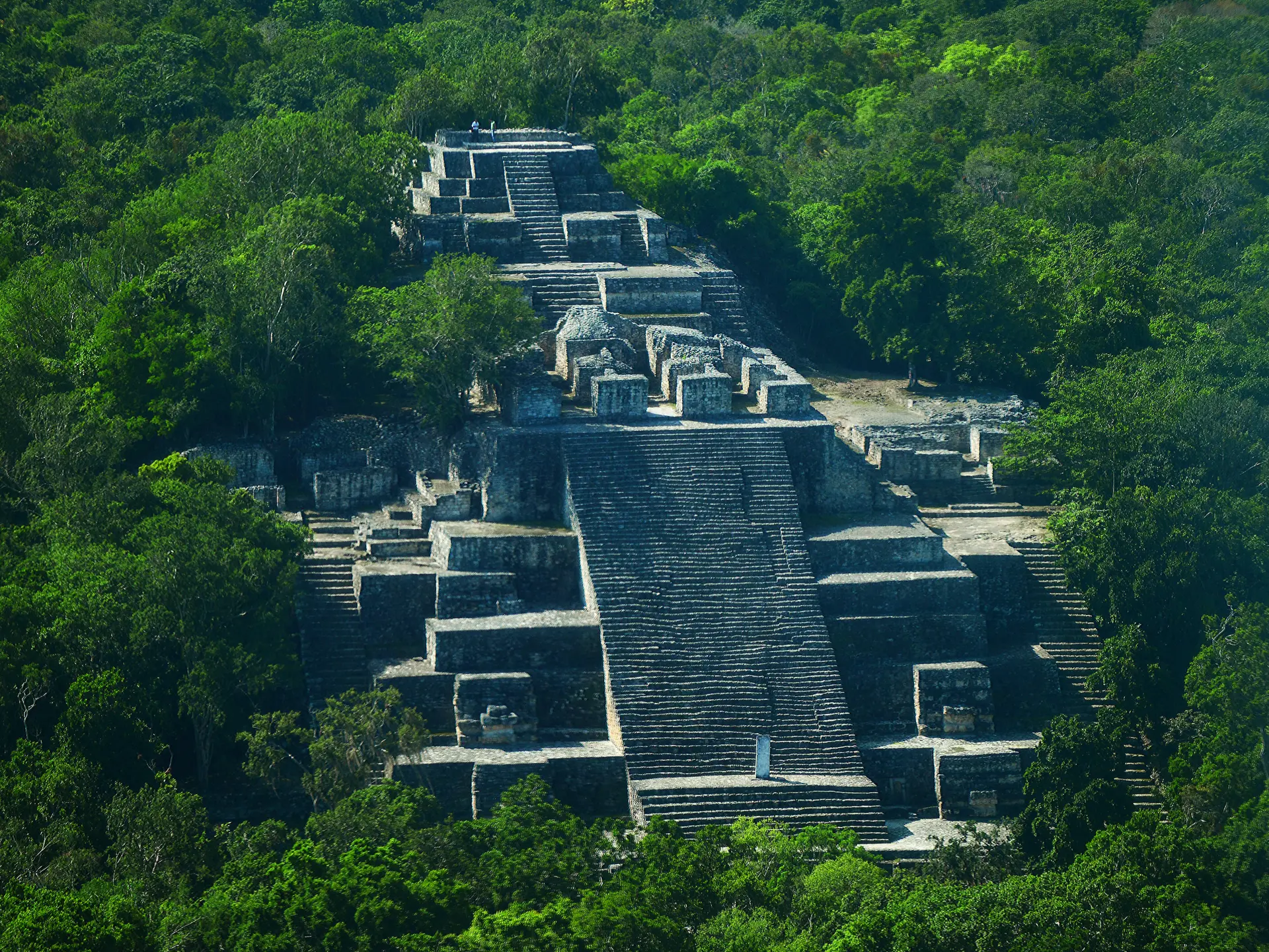 Calakmul 01.jpg