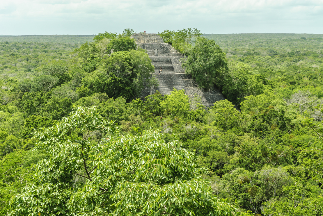 shutterstock_563491177 Calakmul.jpg