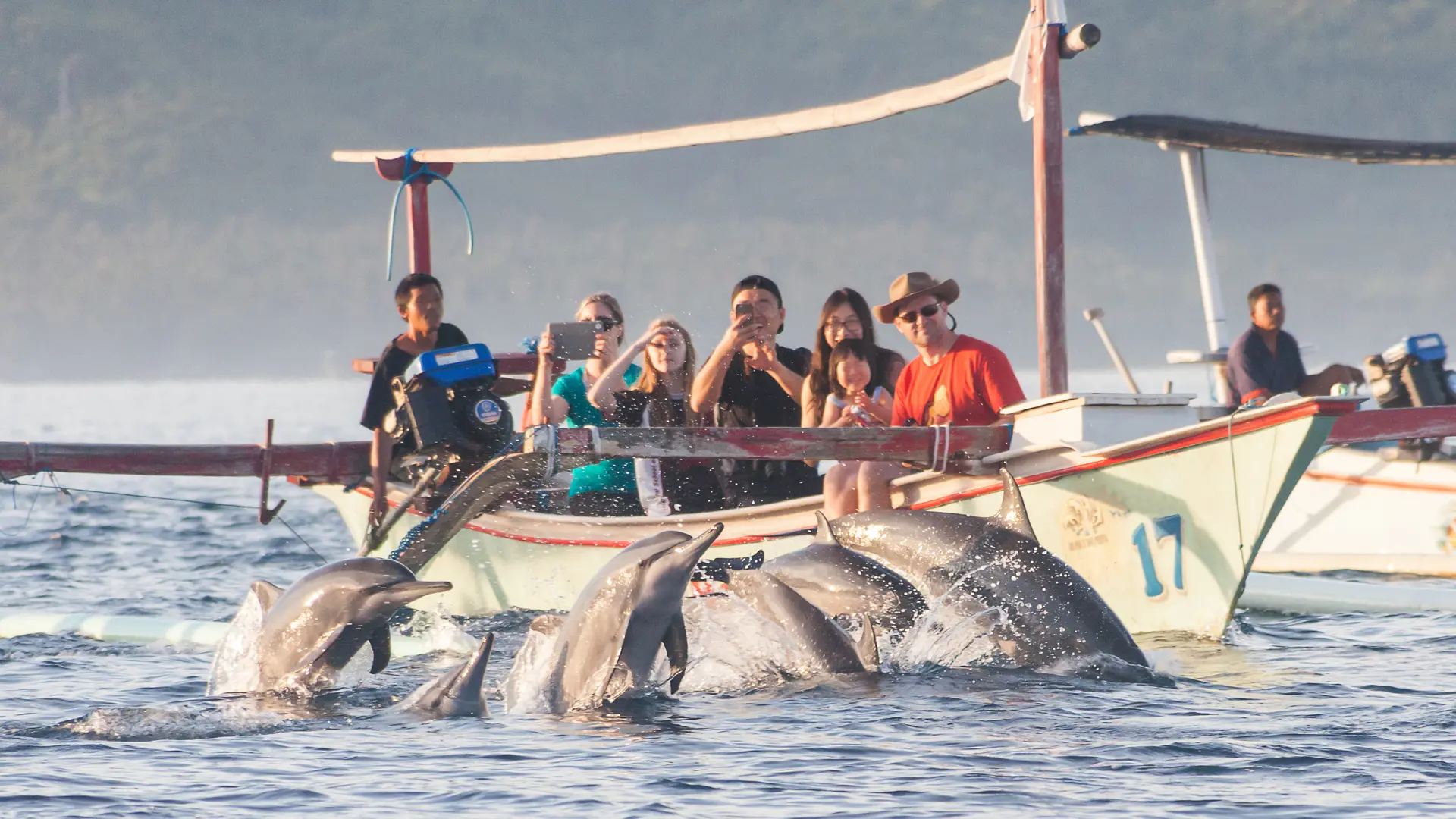DELFINER - Ved Lovina har I mulighed for at komme på delfinsafari og se de legesyge dyr på nært hold.
