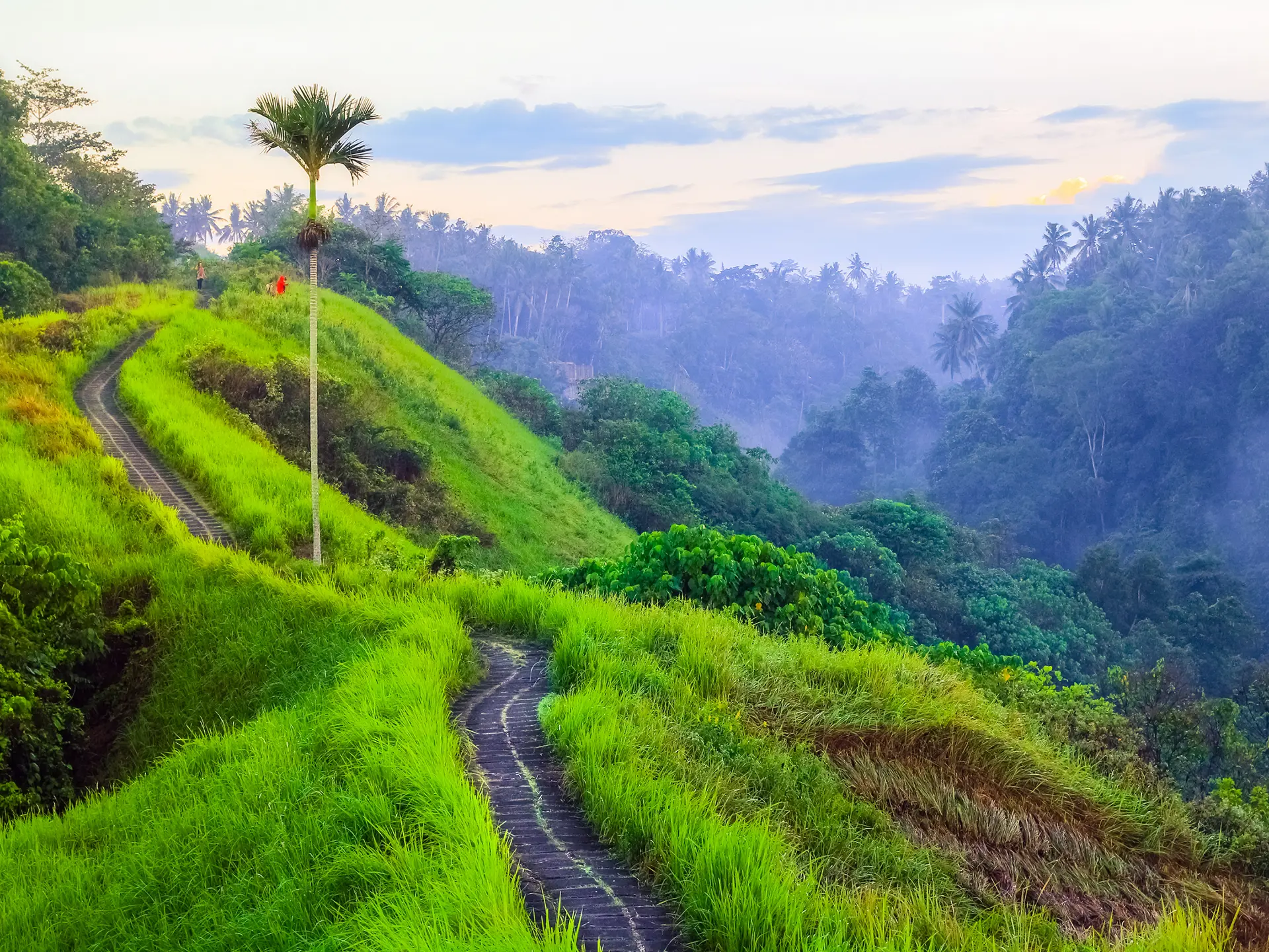 UBUD - Naturen omkring Ubud er smuk og frodig.