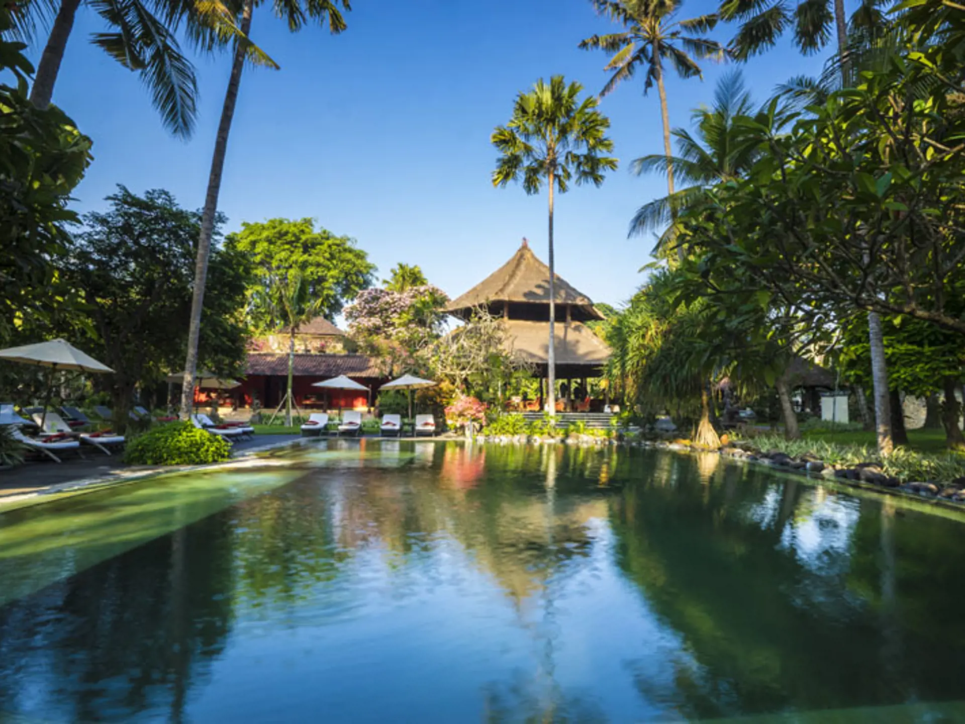 HÅNDPLUKKEDE HOTELLER - Hotellerne er udvalgte, efter vi selv har været på Bali og undersøge de mange muligheder.