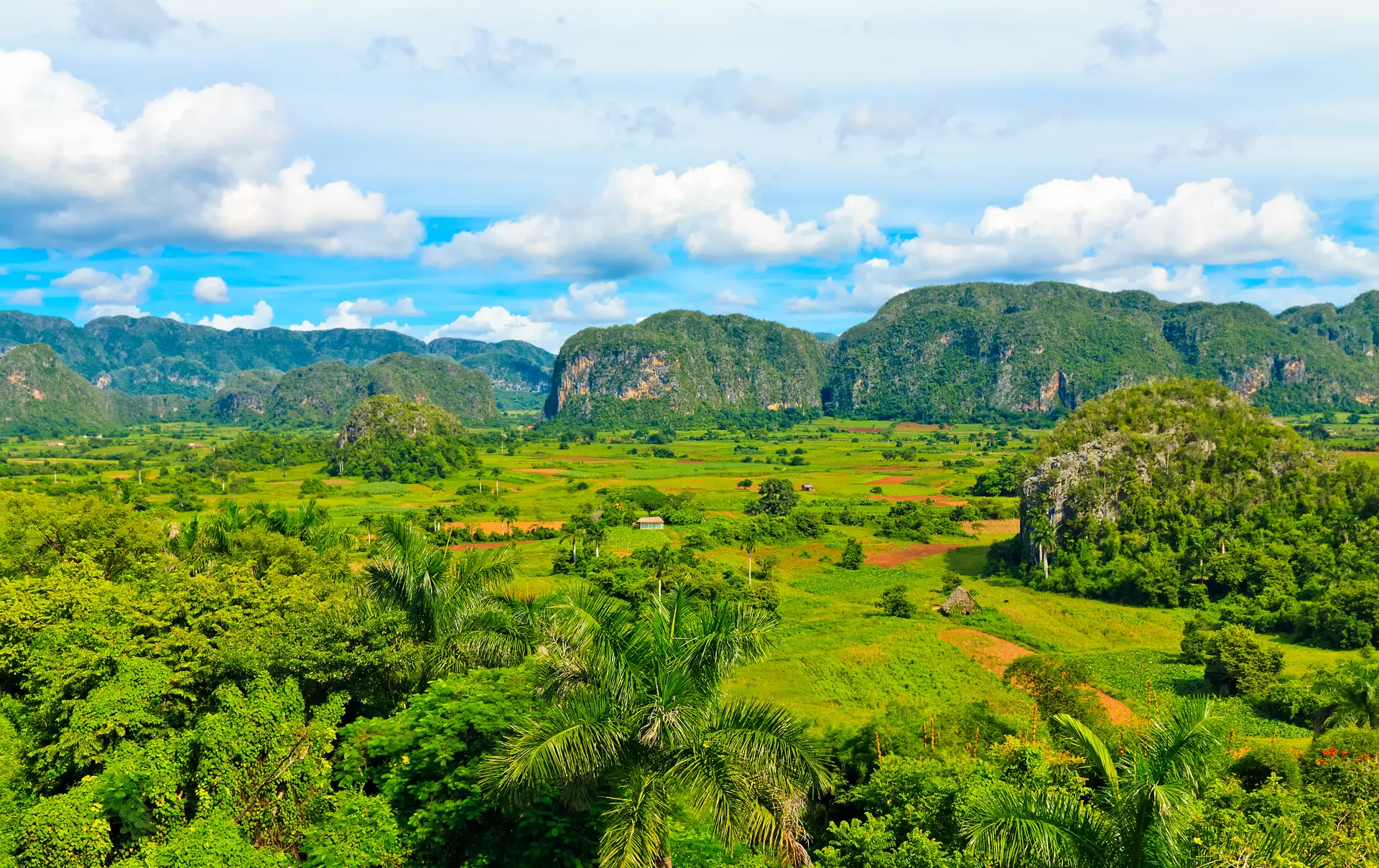 Udsigt over Viñales-dalen - en berømt turistdestination og et vigtigt tobaksområde