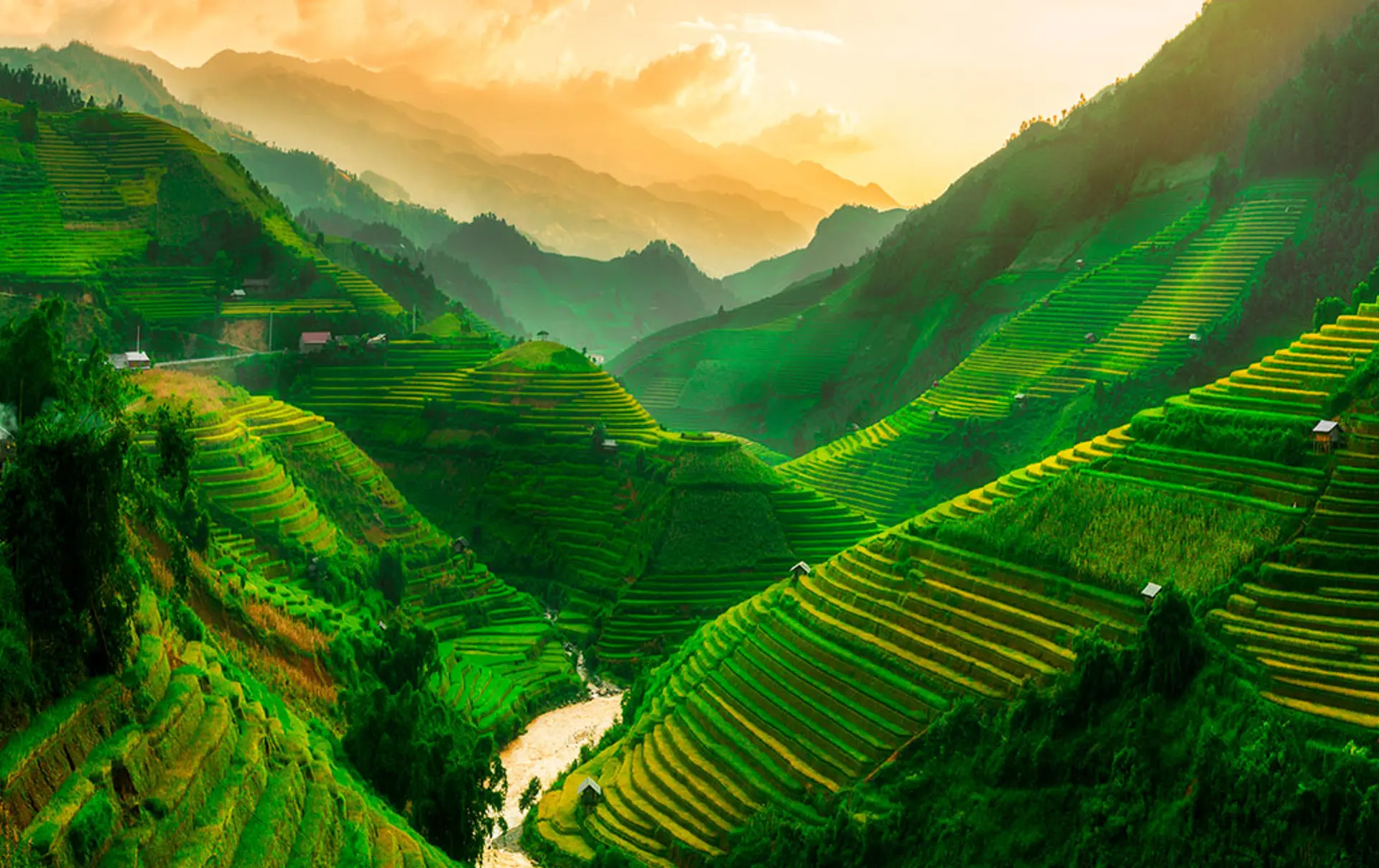 Vietnam-desktop.jpg (1)