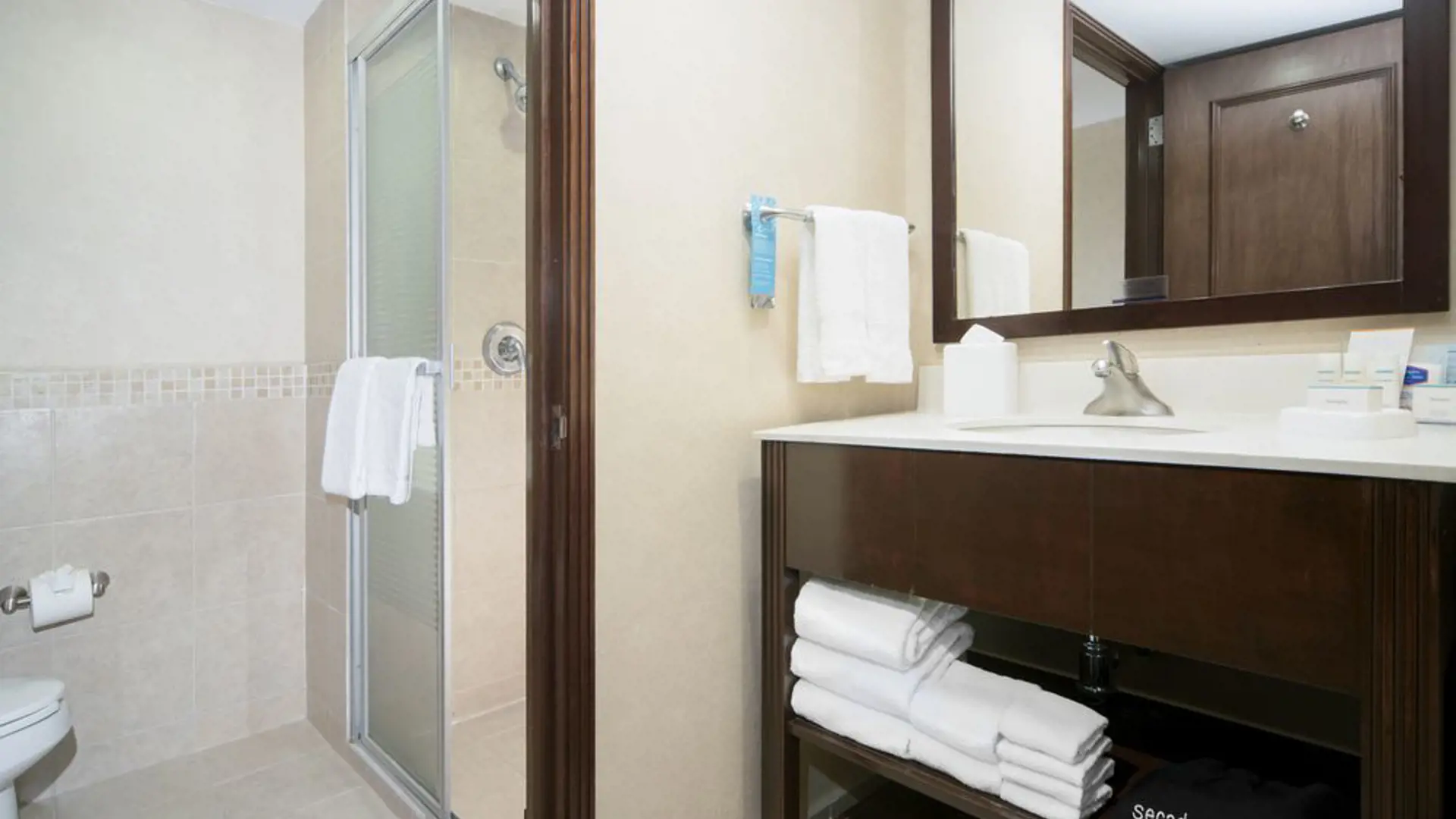 Hamptonn Inn & Suites Mex City - Bathroom.jpg