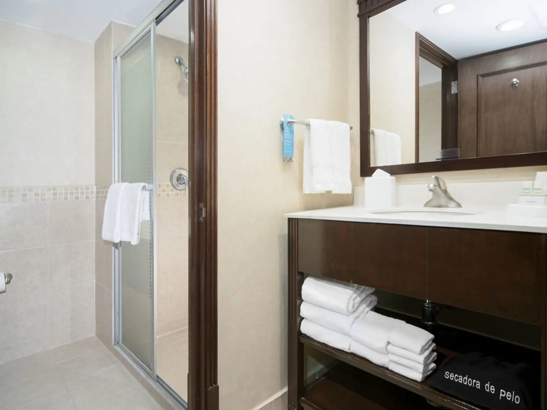 Hamptonn Inn & Suites Mex City - Bathroom.jpg