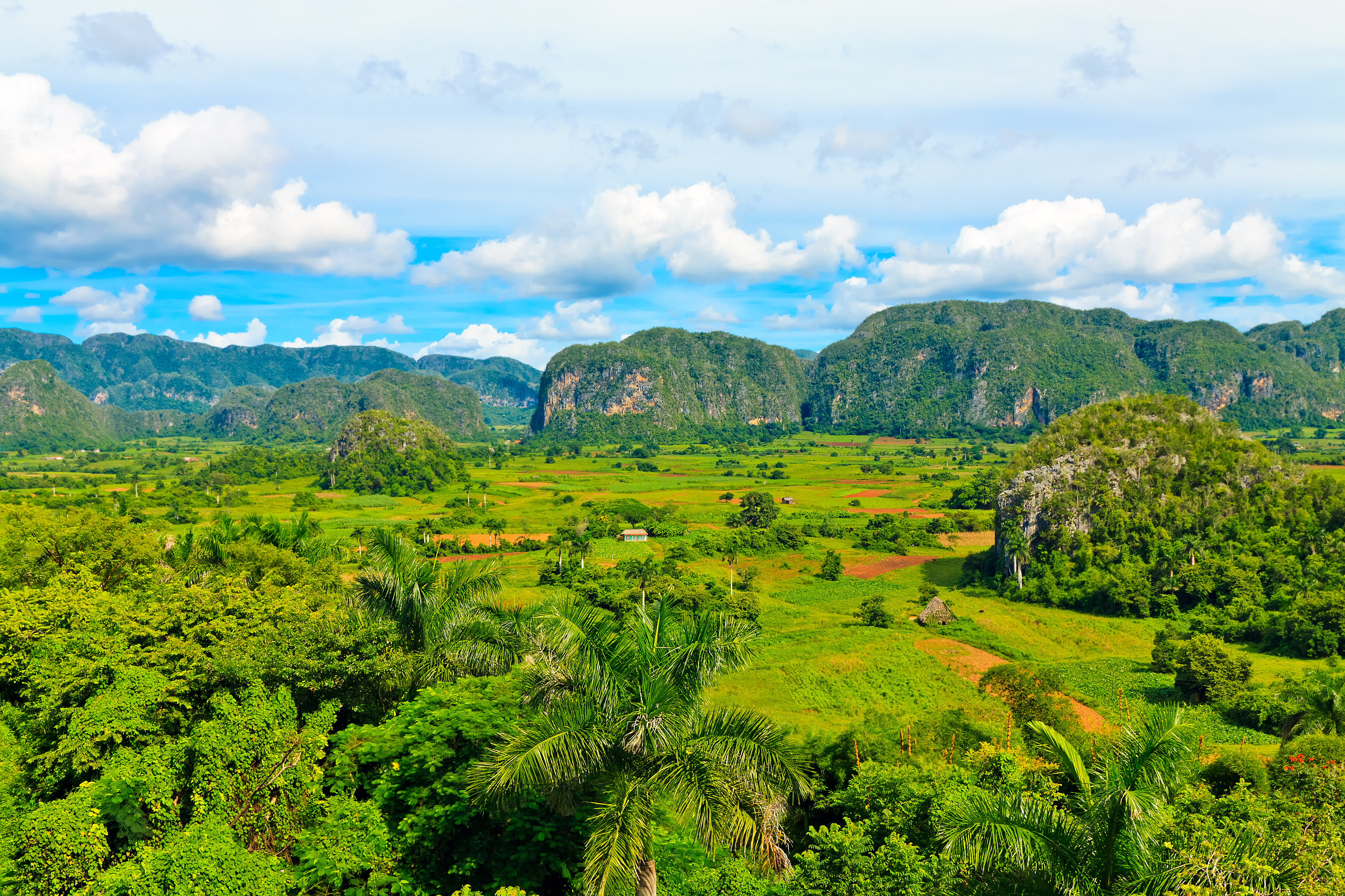 VIÑALES - imponerende kalkstensbjerge skyder op mellem de frodige tobaksmarker og indbyder til skønne vandreture, Check Point Travel