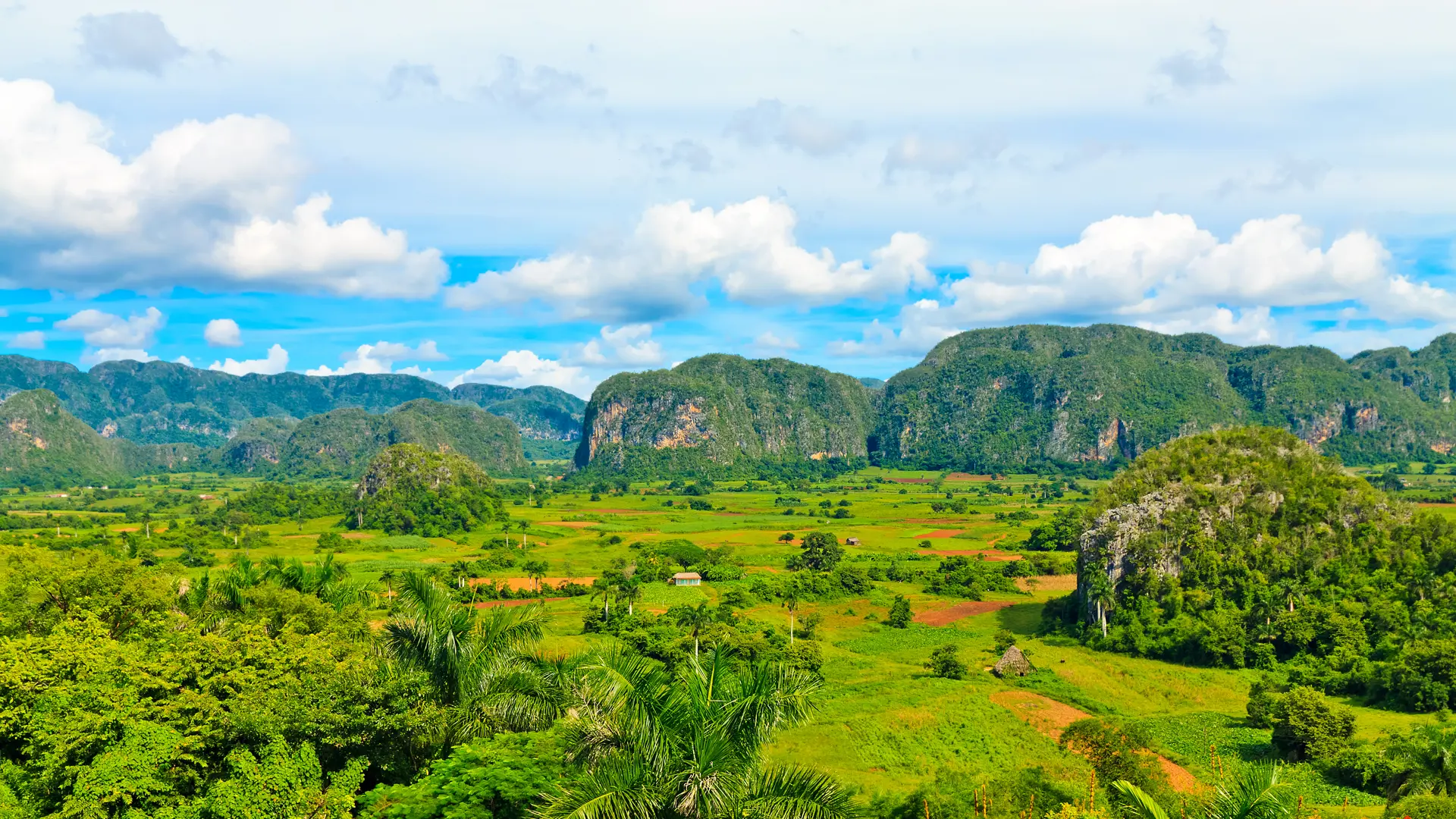 VIÑALES - imponerende kalkstensbjerge skyder op mellem de frodige tobaksmarker og indbyder til skønne vandreture, Check Point Travel