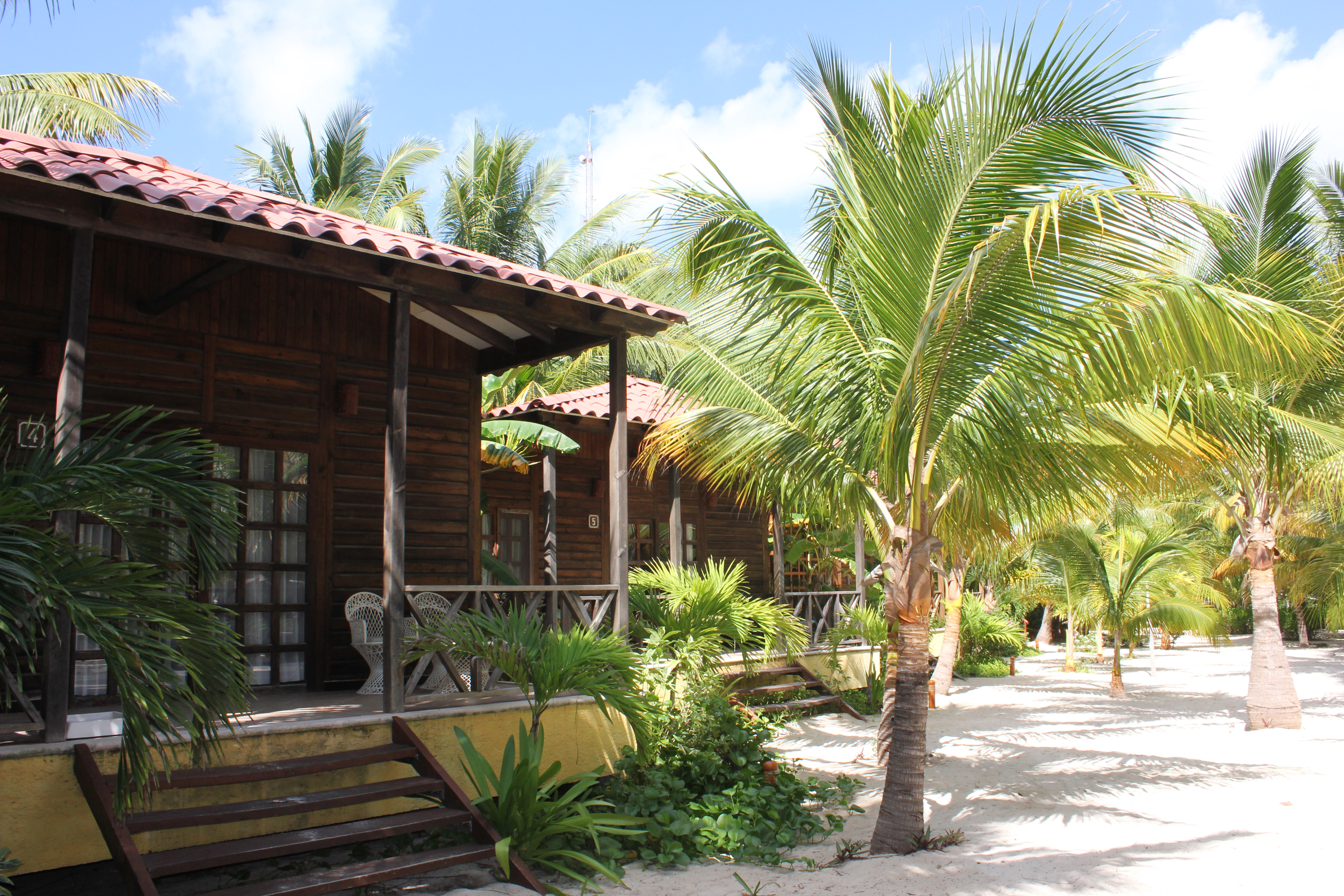 Petit Lafitte (2).JPG