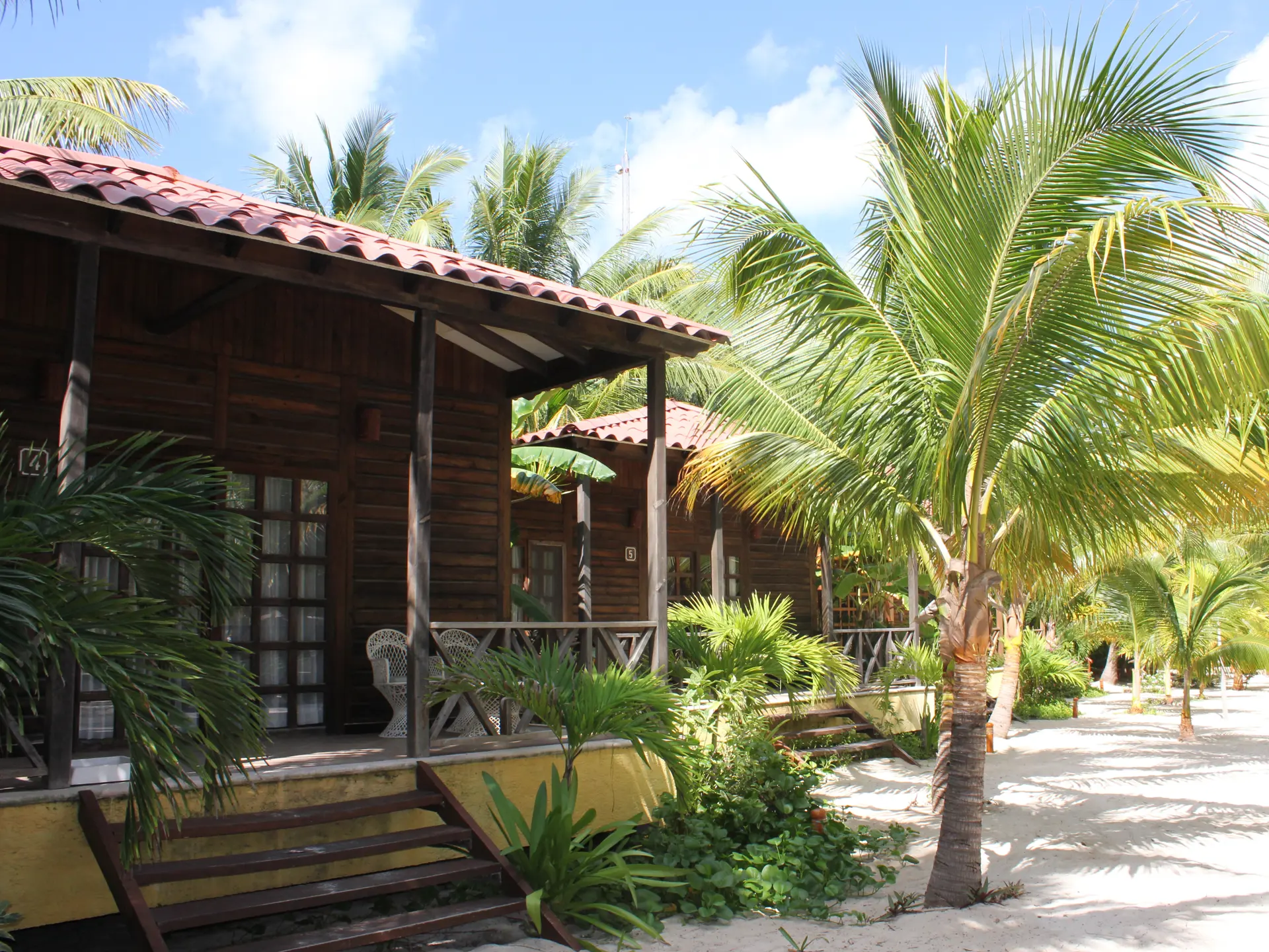 Petit Lafitte (2).JPG