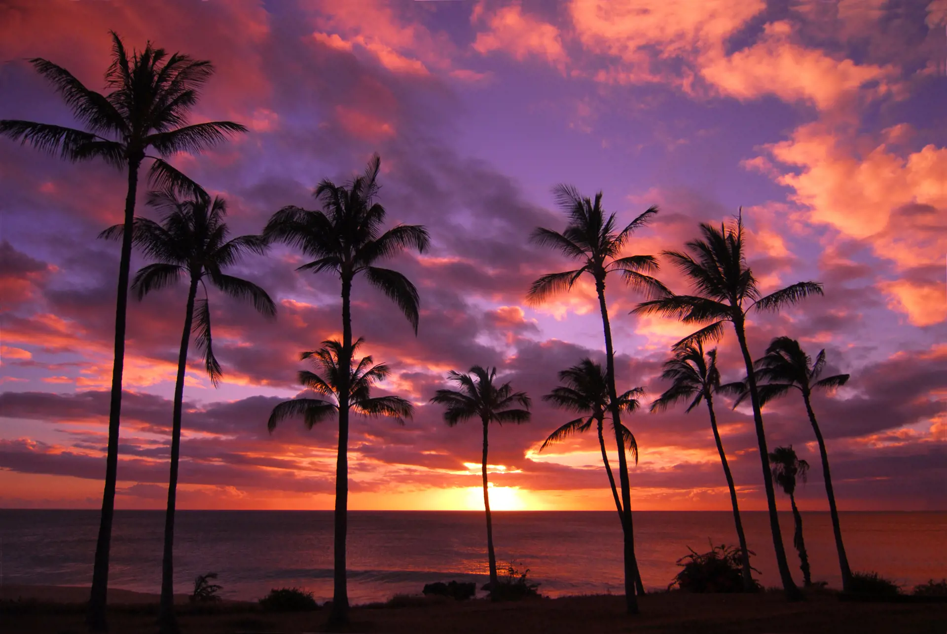 Hawaii - solnedgangen over Stillehavet kan være en farverig fornøjelse, Check Point Travel