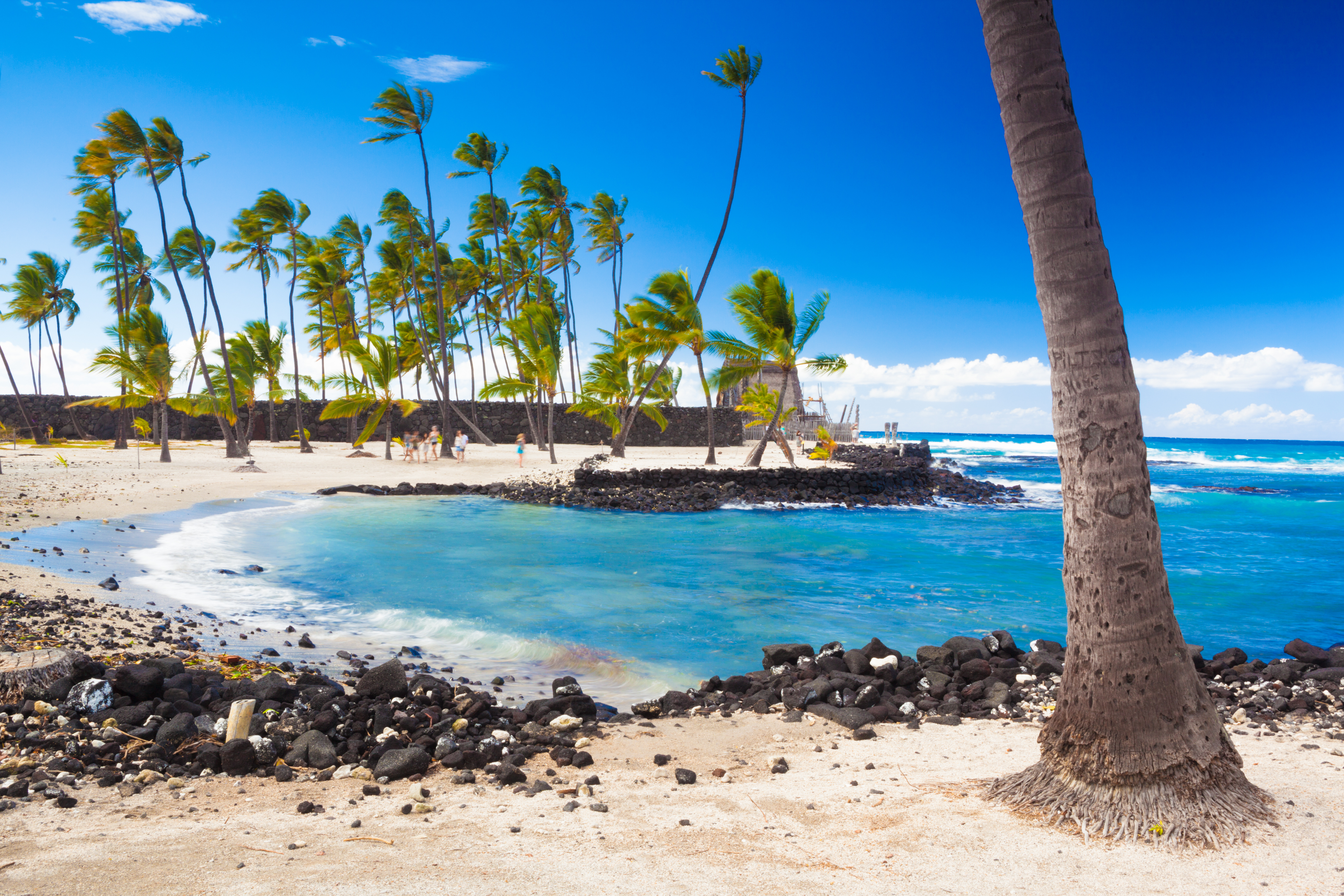 Palm trees growing on ancient Hawaiian site Pu'uhonua O Honaunau National Historical Park on Big Island, Hawaii.jpg