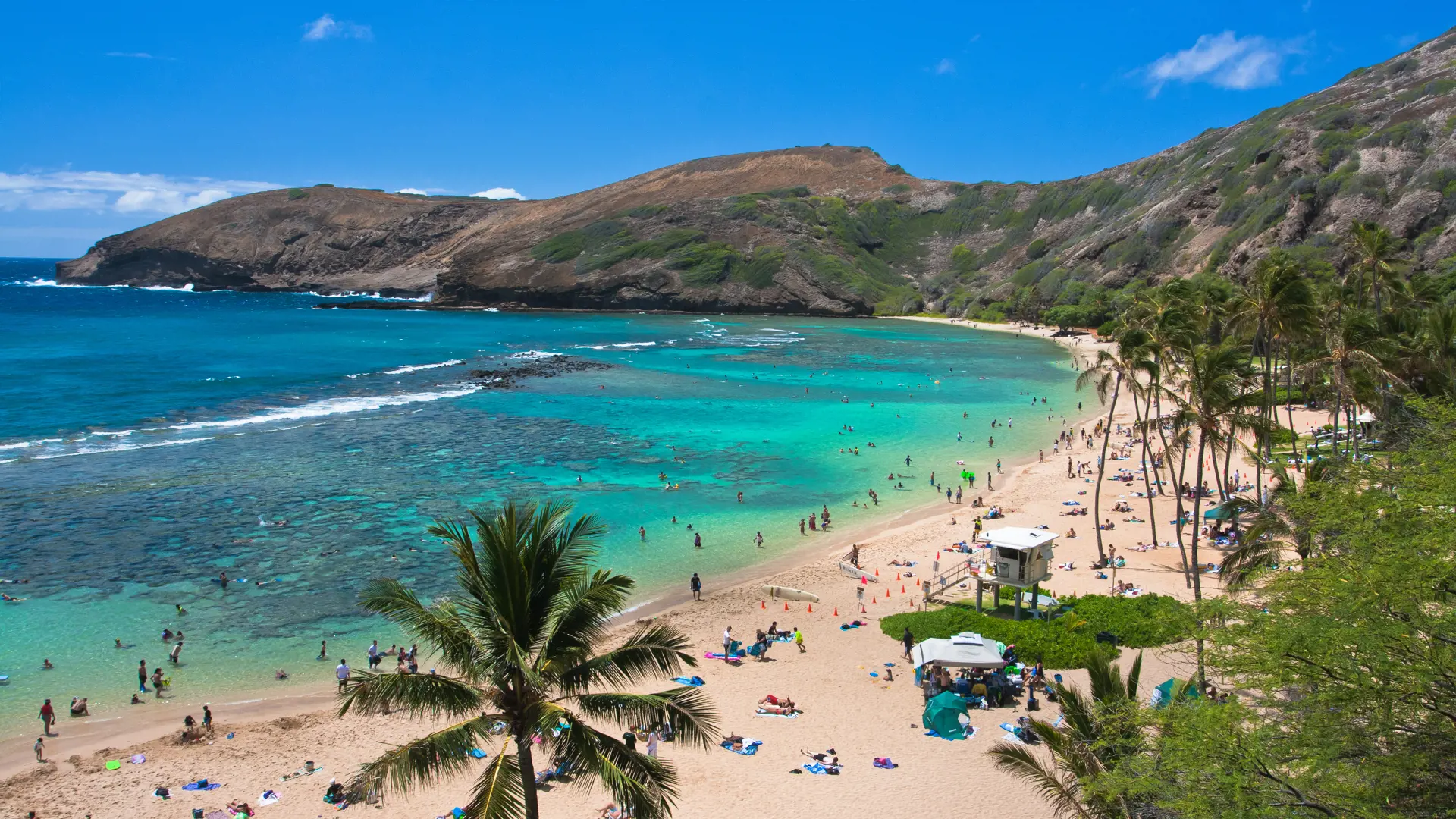 OAHU - Hanauma bay tæt ved Honolulu er et popurlært sted at tage til for at snorkle og slappe af, Check Point Travel