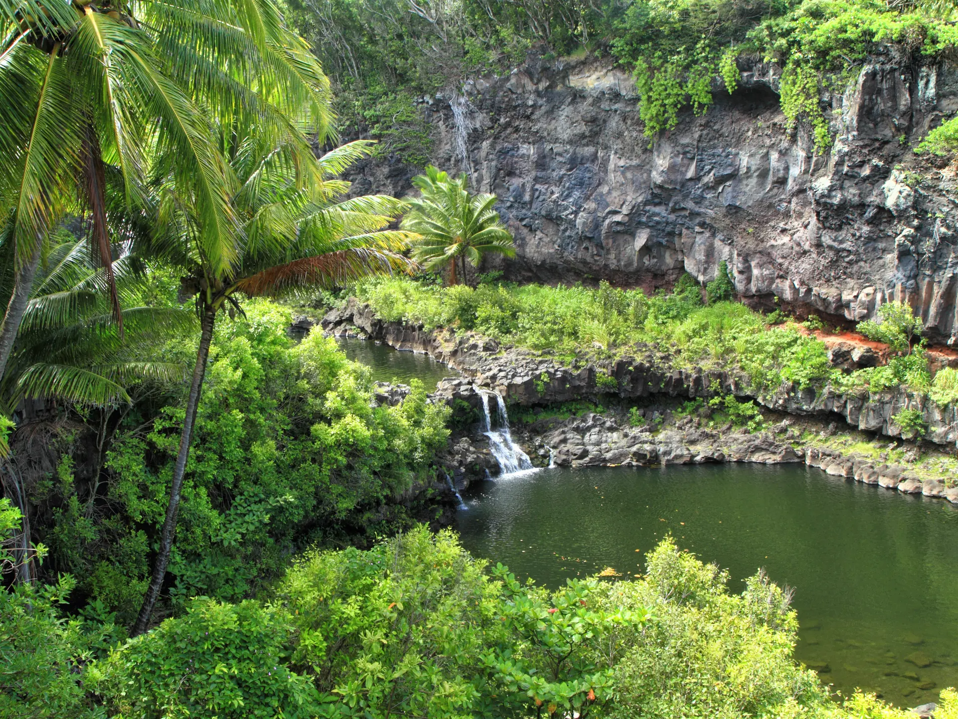 The dramatic jungle scenery at Hawaii's Pools of Oheo, near Hana on the east side of Maui..jpg