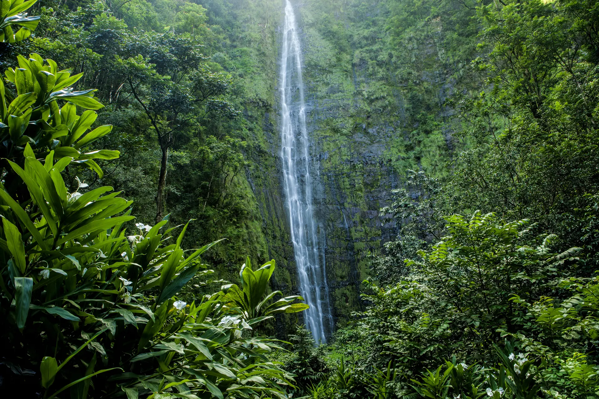 The Waimoku Falls in Haleakala National park in Maui.jpg