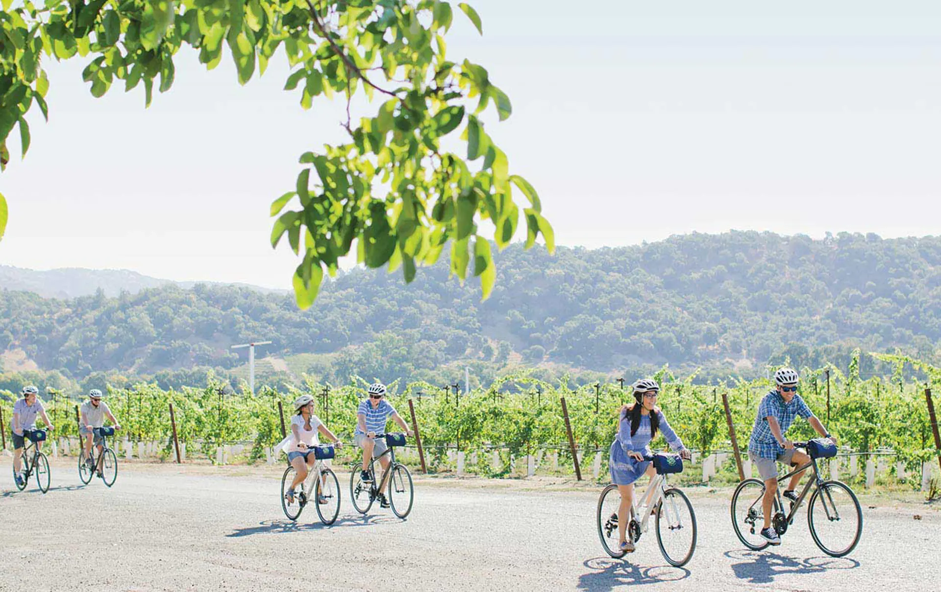 18465-media-5-Slideshow-SonomaValleyBikeTours-1600x800.jpg