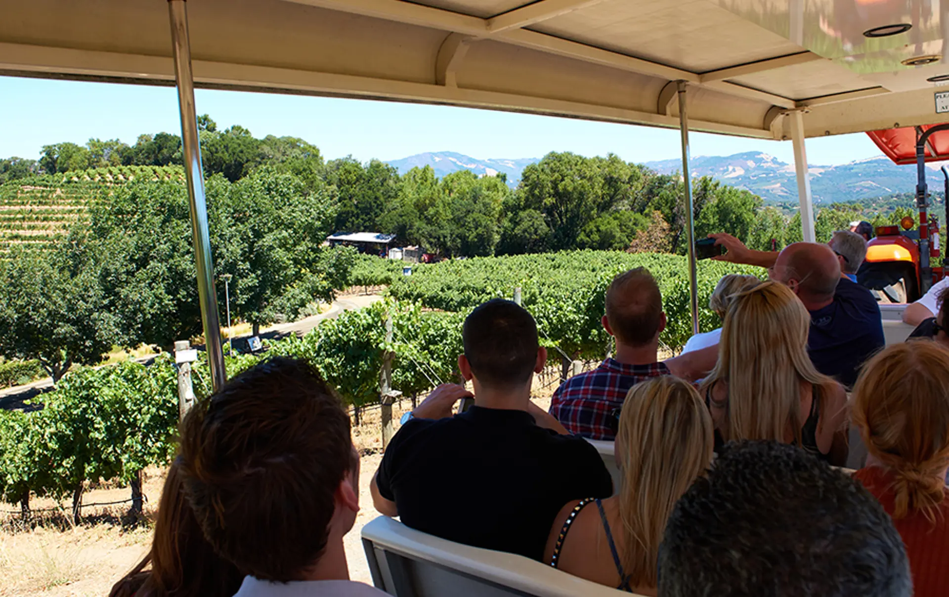 Wine trolley-0082.jpg