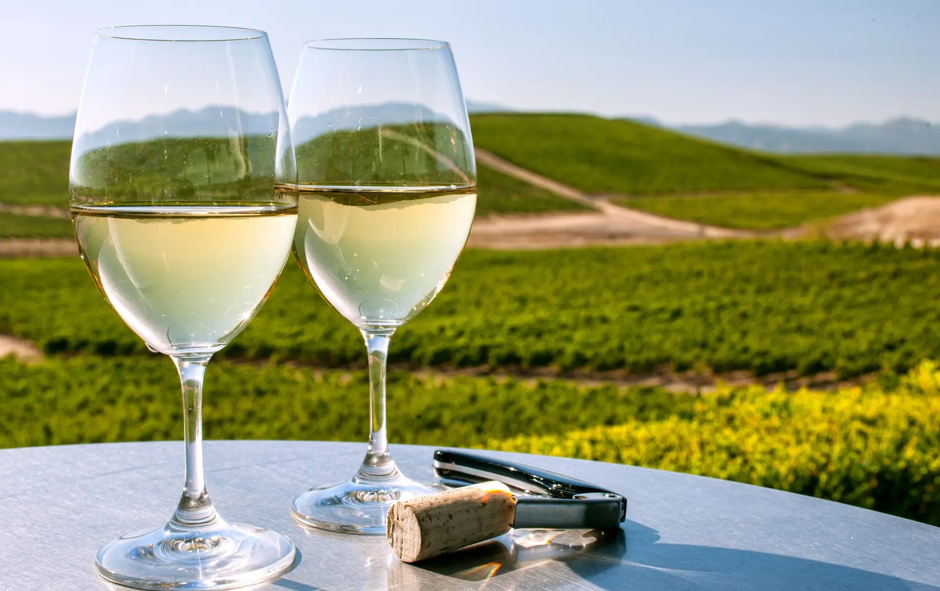 Vin og vinmarker i Sonoma - shutterstock_416475664.jpg