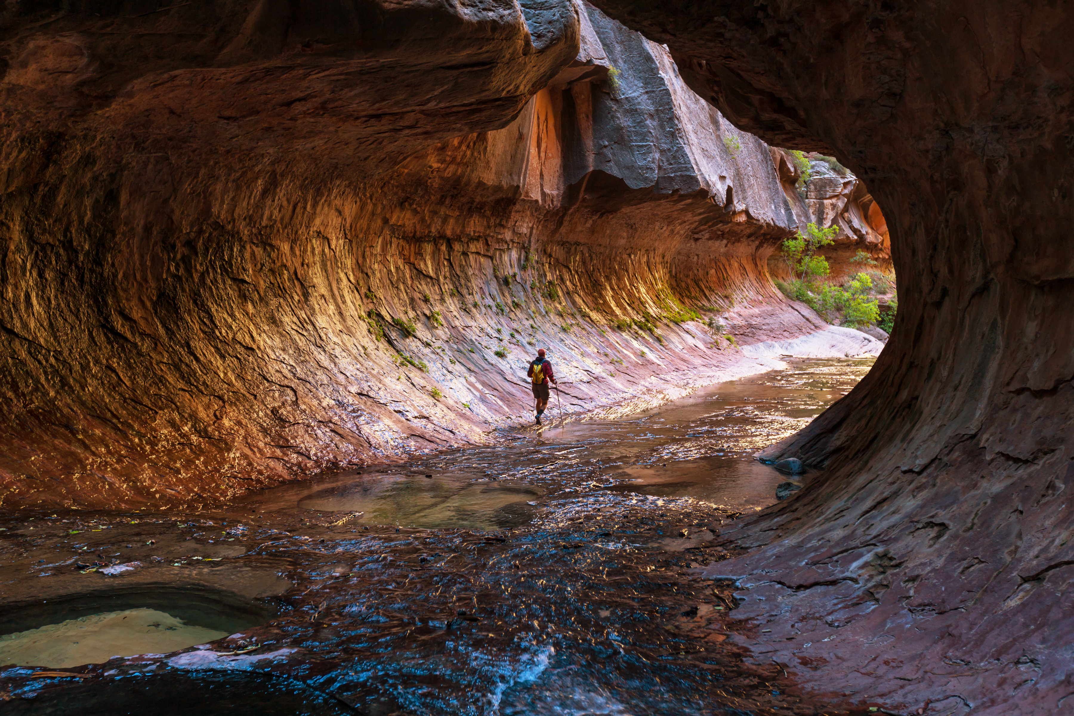 The Narrows i Zion National Park - shutterstock_338863880.jpg