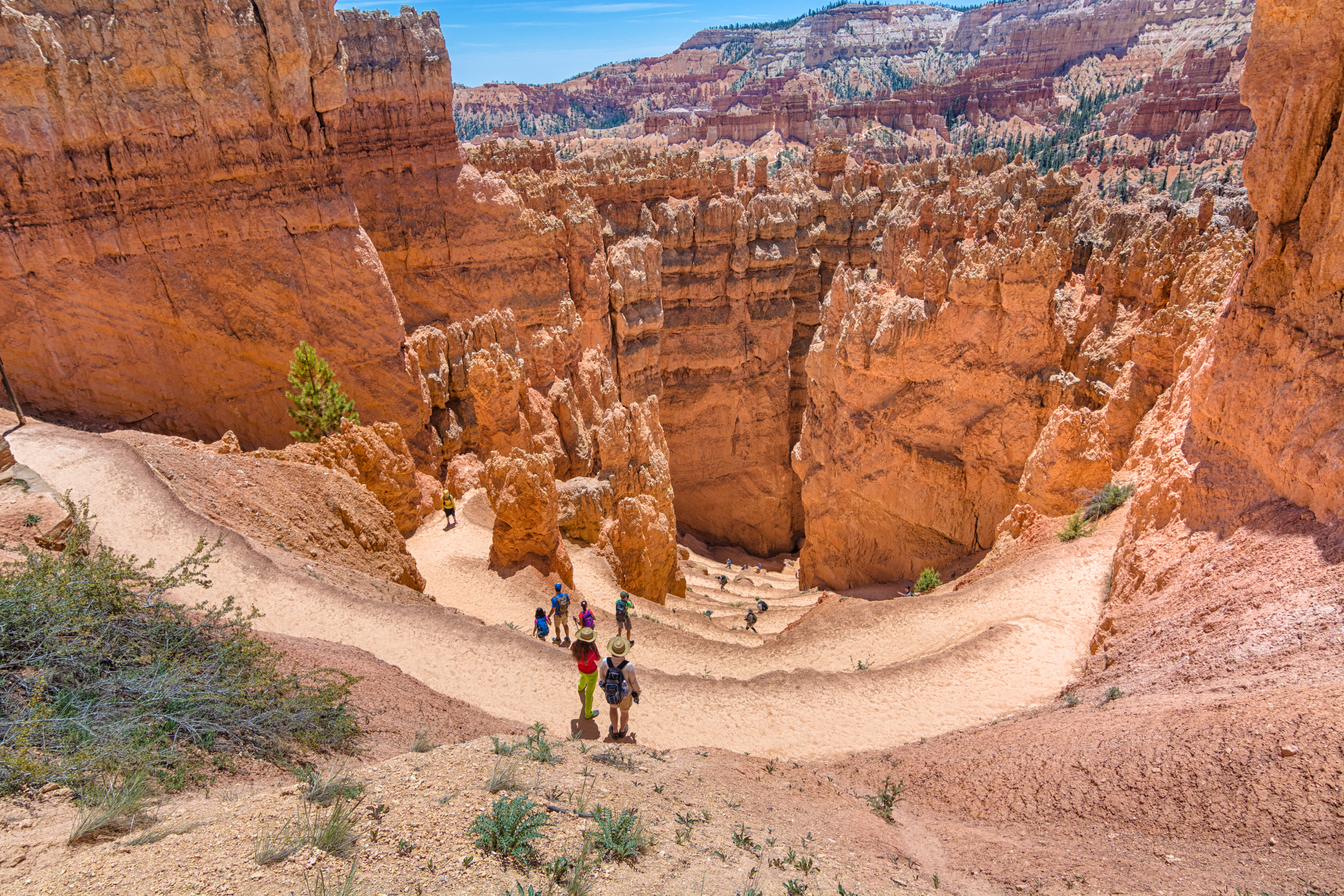 Bryce Canyon NP - Hiker på stien ved Navajo Loop kaldet Wall Street - shutterstock_417963781.jpg