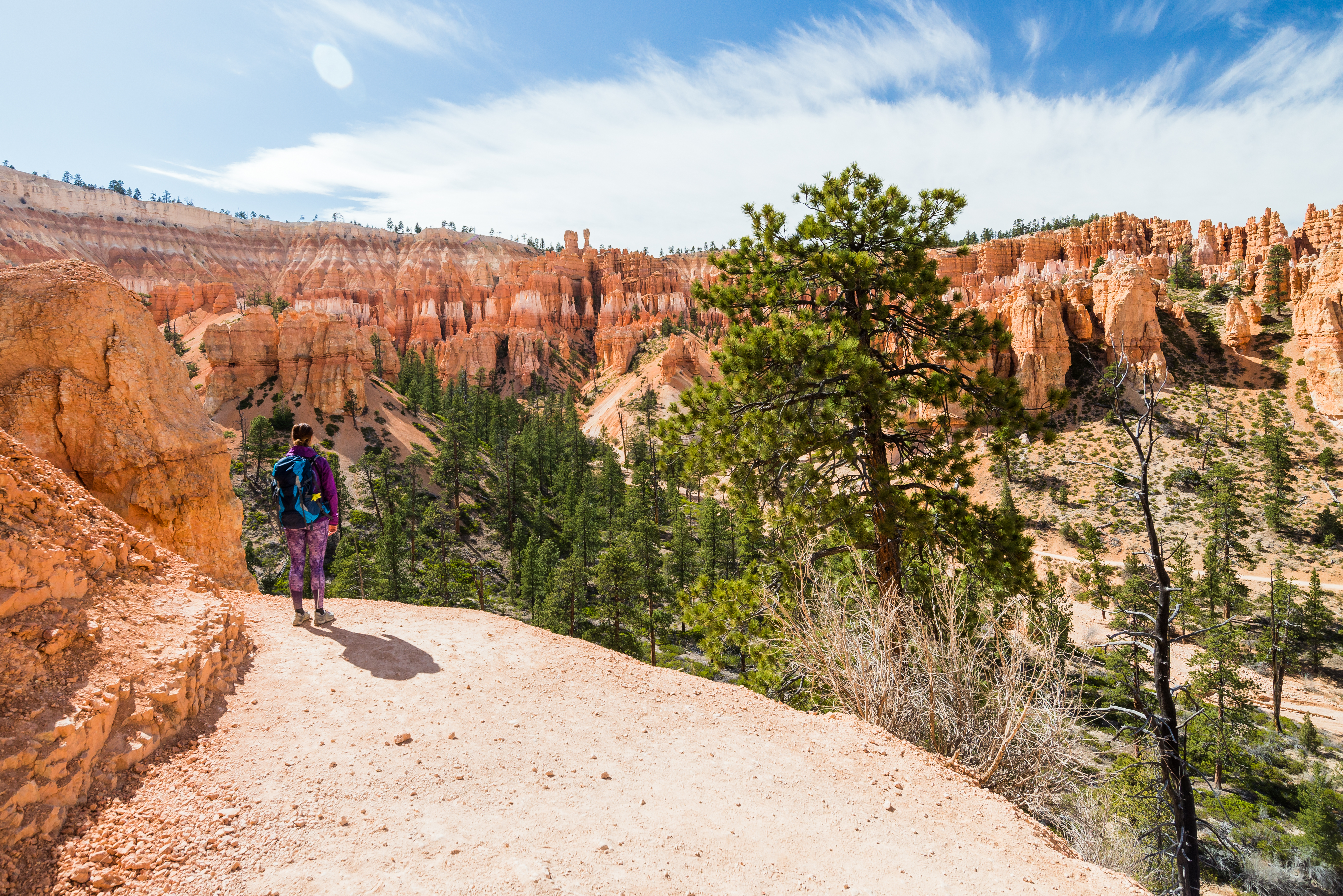 På vantretur i Bryce Canyon National Park - shutterstock_1179404434.jpg