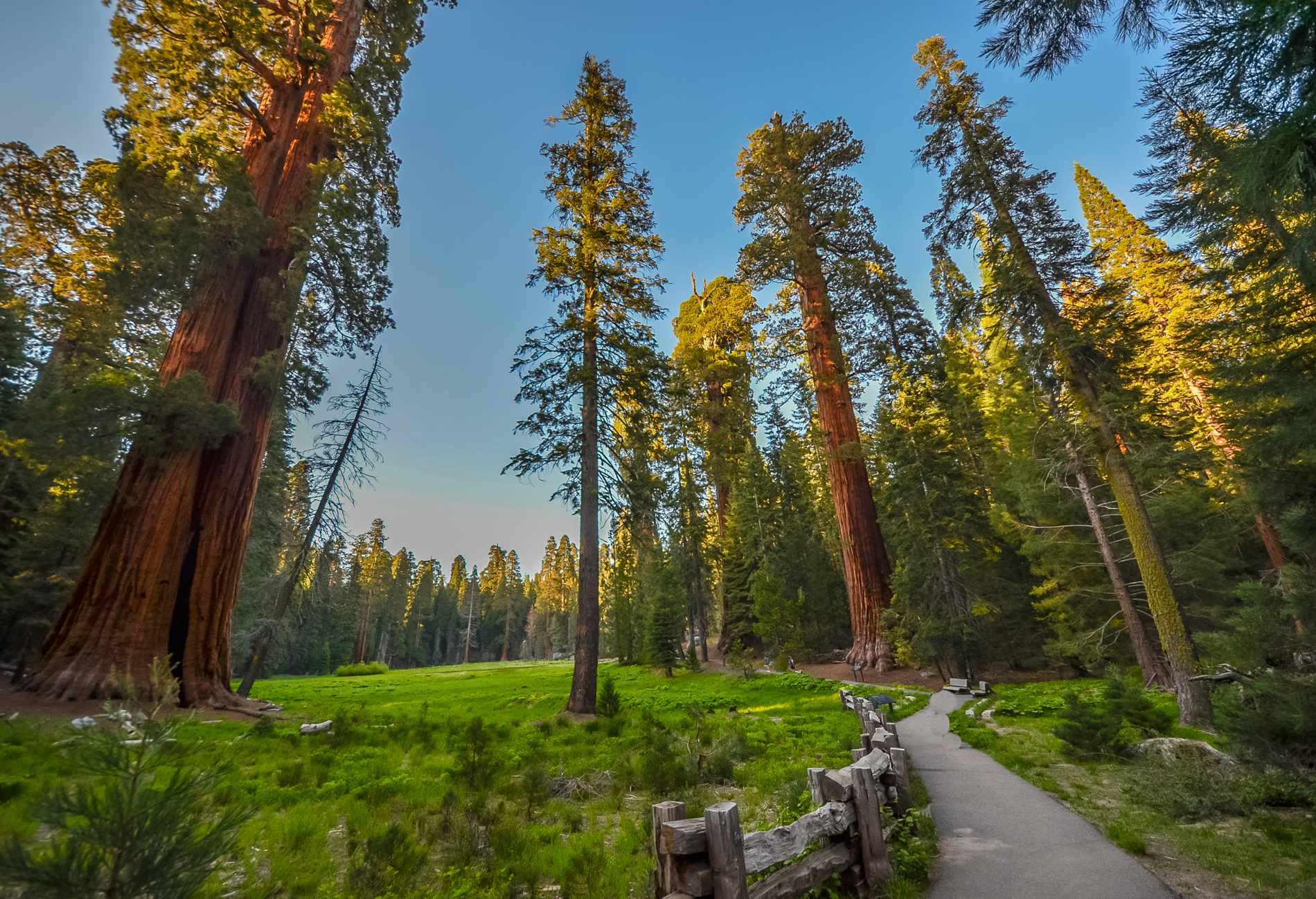 Sequoia et kings canyon activités