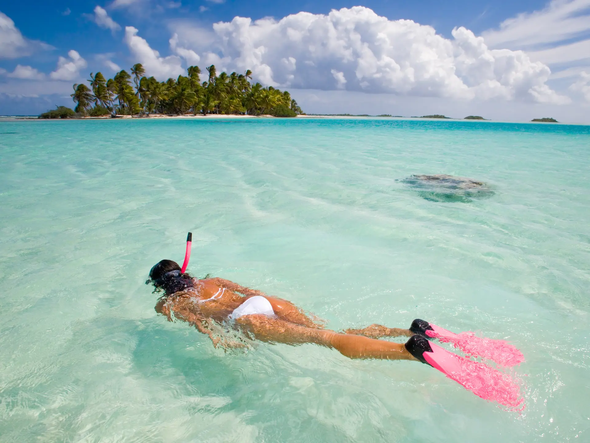 snorkling Hawaii