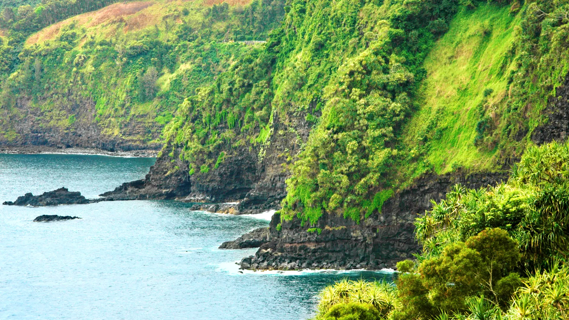 Hawaii on the Island of Maui.jpg