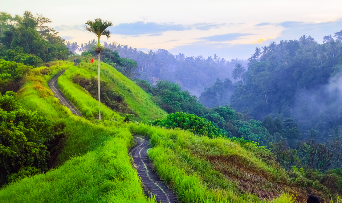 Campuhan Ridge Walk , Scenic Green Valley in Ubud Bali.jpg