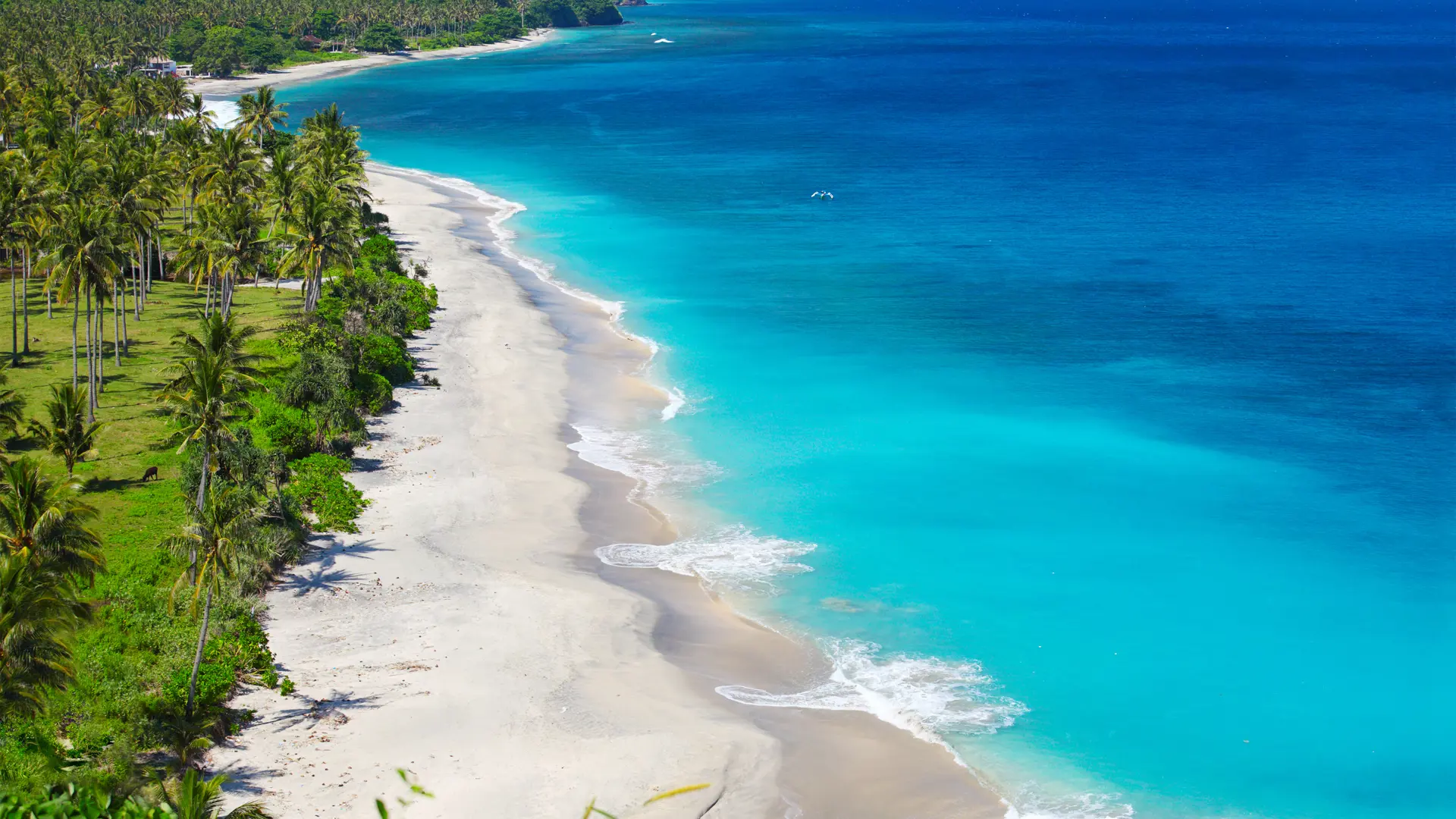 Strandene Nord for vores hotel.jpg