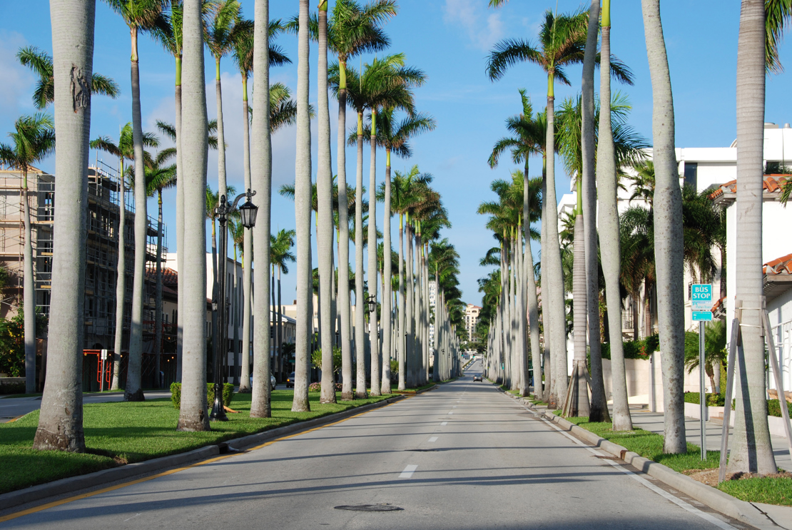 Fort Myers_Palmer_38775457.jpg