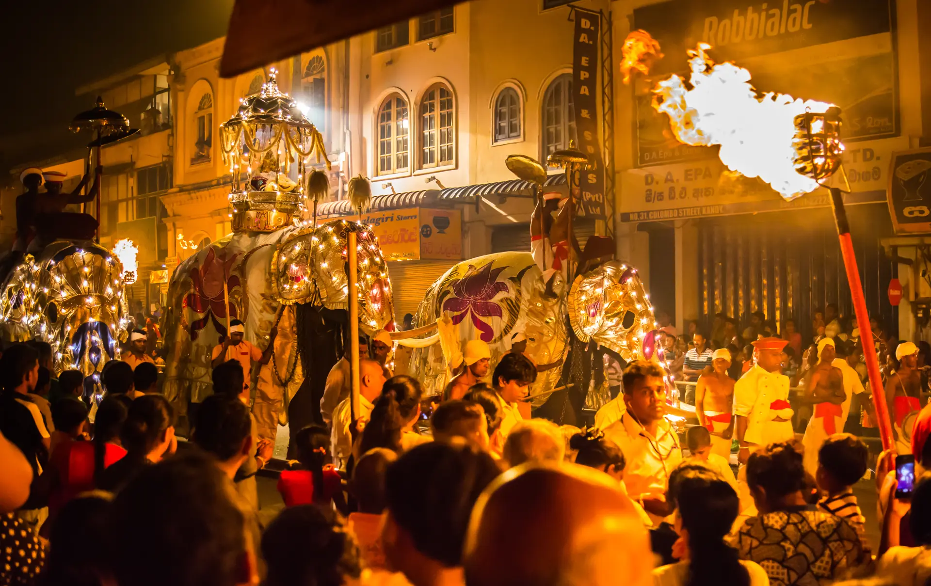 Kandy Festival. Elefatner. Rejser til Sri Lanka.jpg