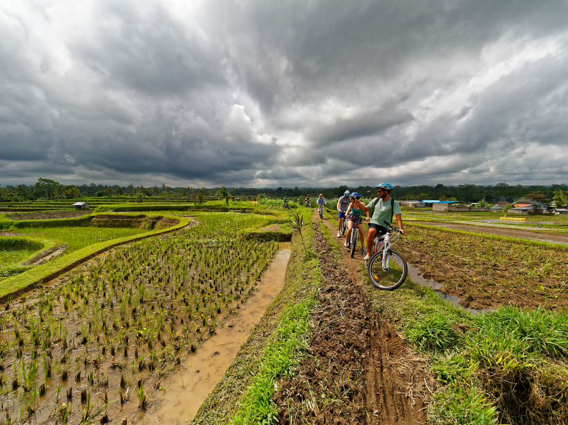 Cykeltur i Ubud. Rejser til Bali.jpg